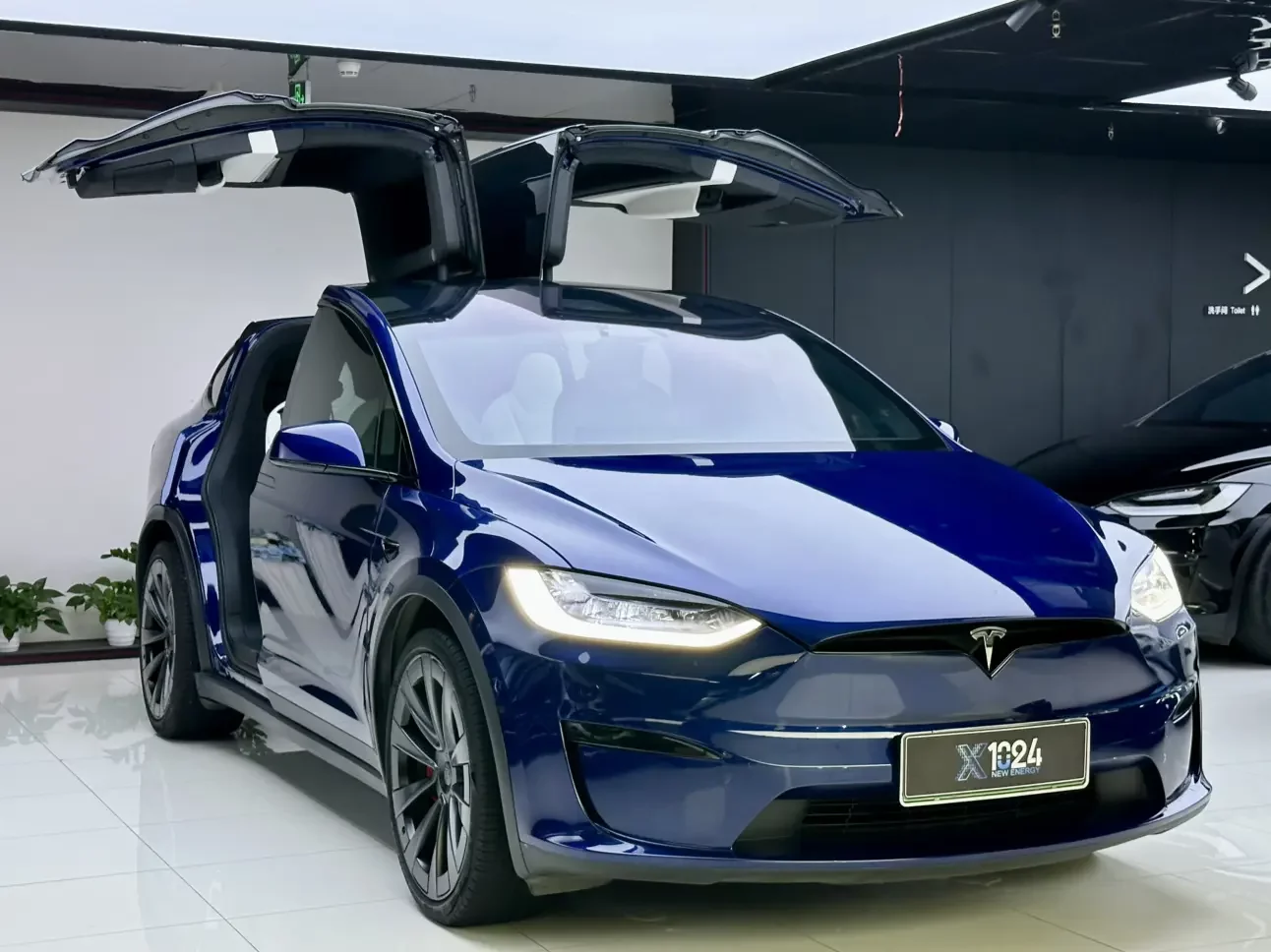 Tesla Model X