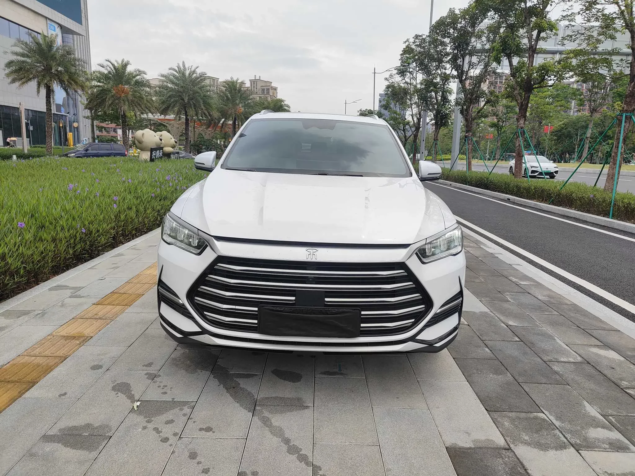 BYD Song Pro DM