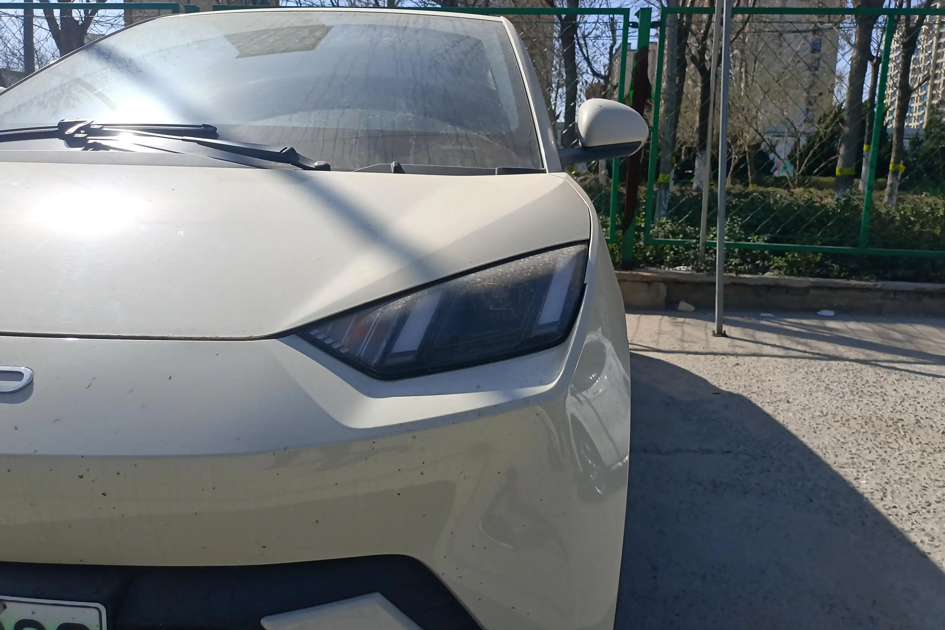 BYD seagull