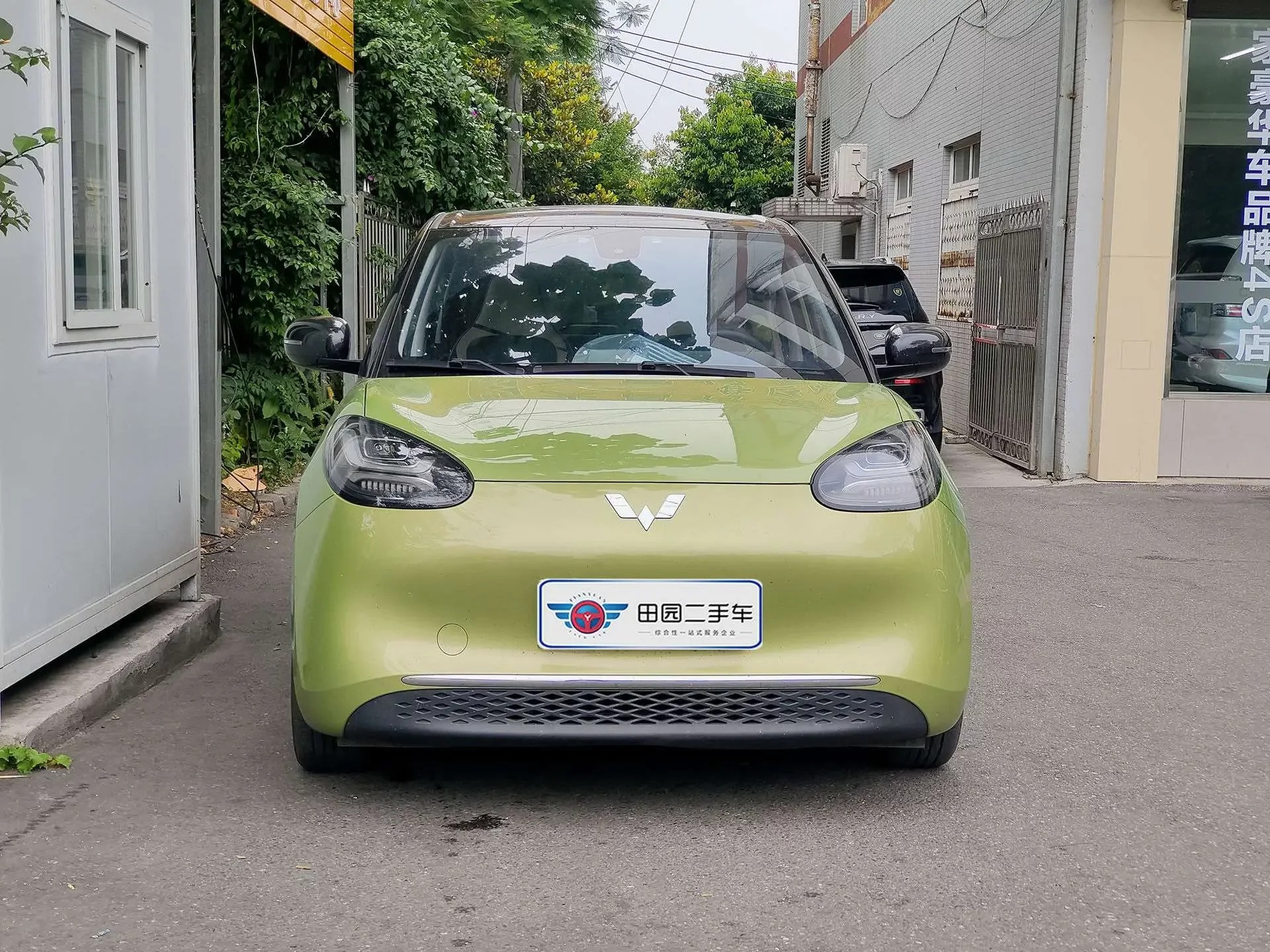 Wuling Bingo