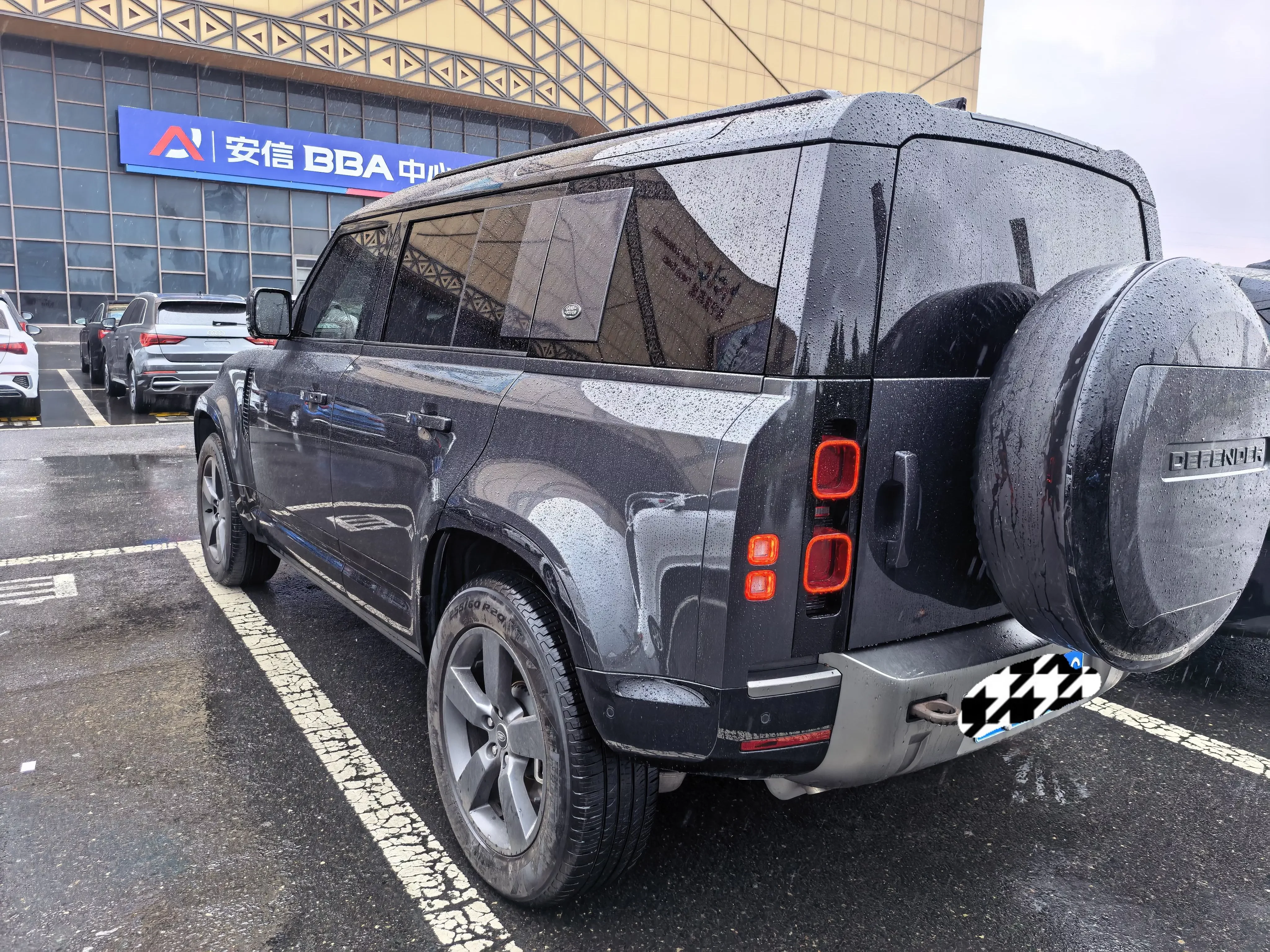 Land Rover guard