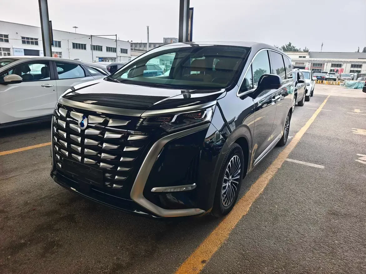 Denza D9 DM