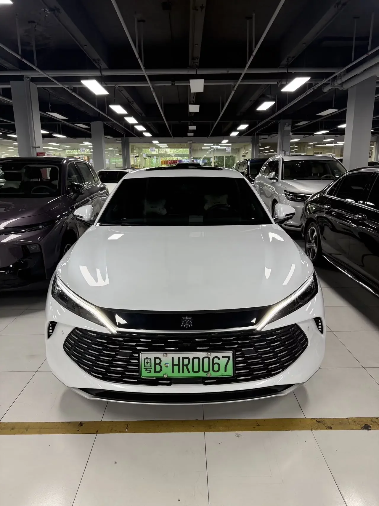 BYD Qin L DM