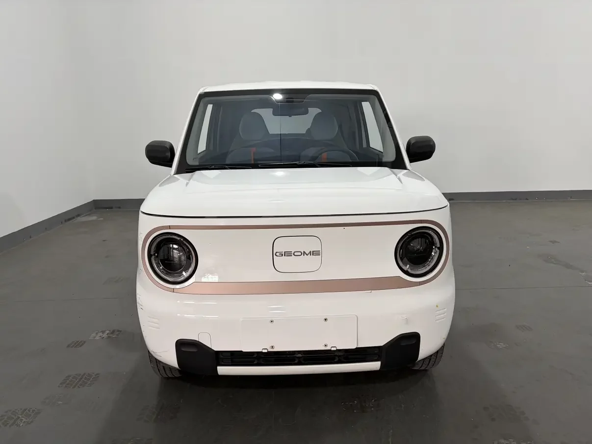 Geely panda