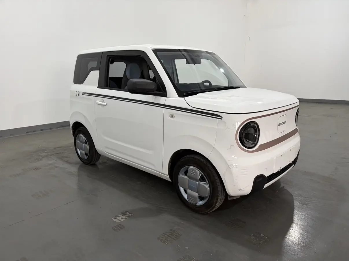 Geely panda