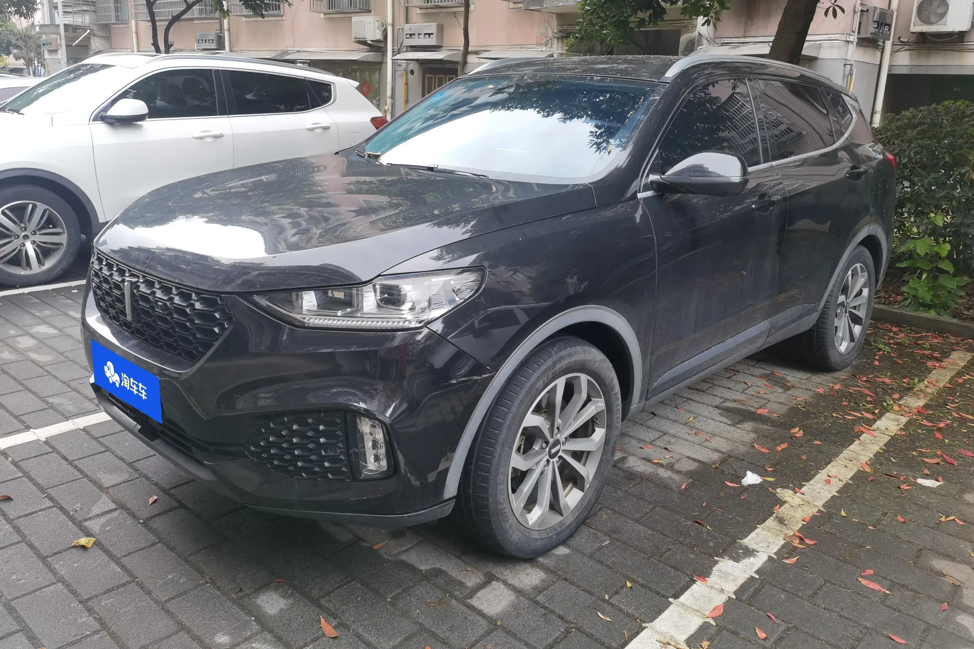 Wey Wei brand VV6
