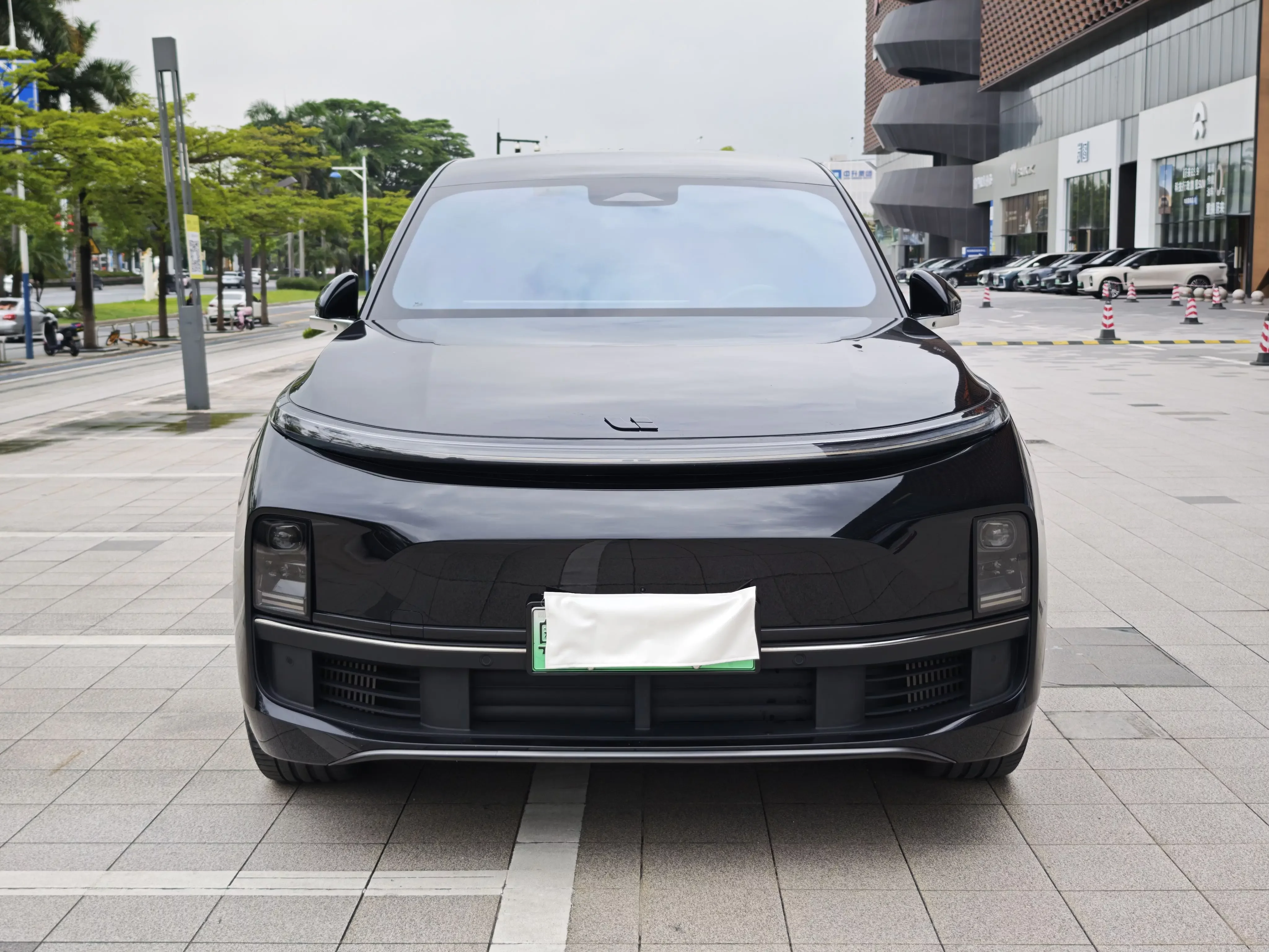 Lixiang L9