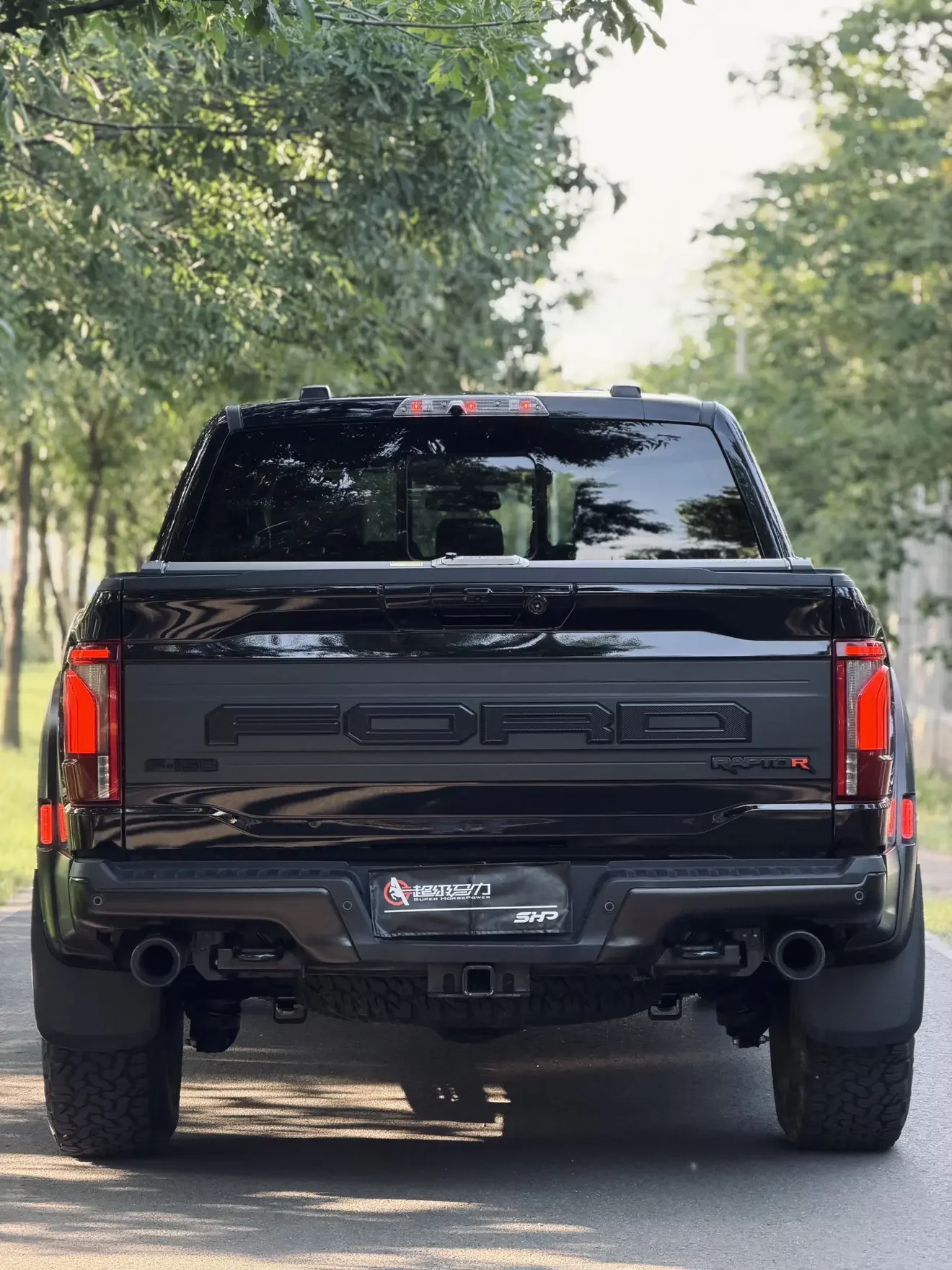 Ford F-150 Raptor