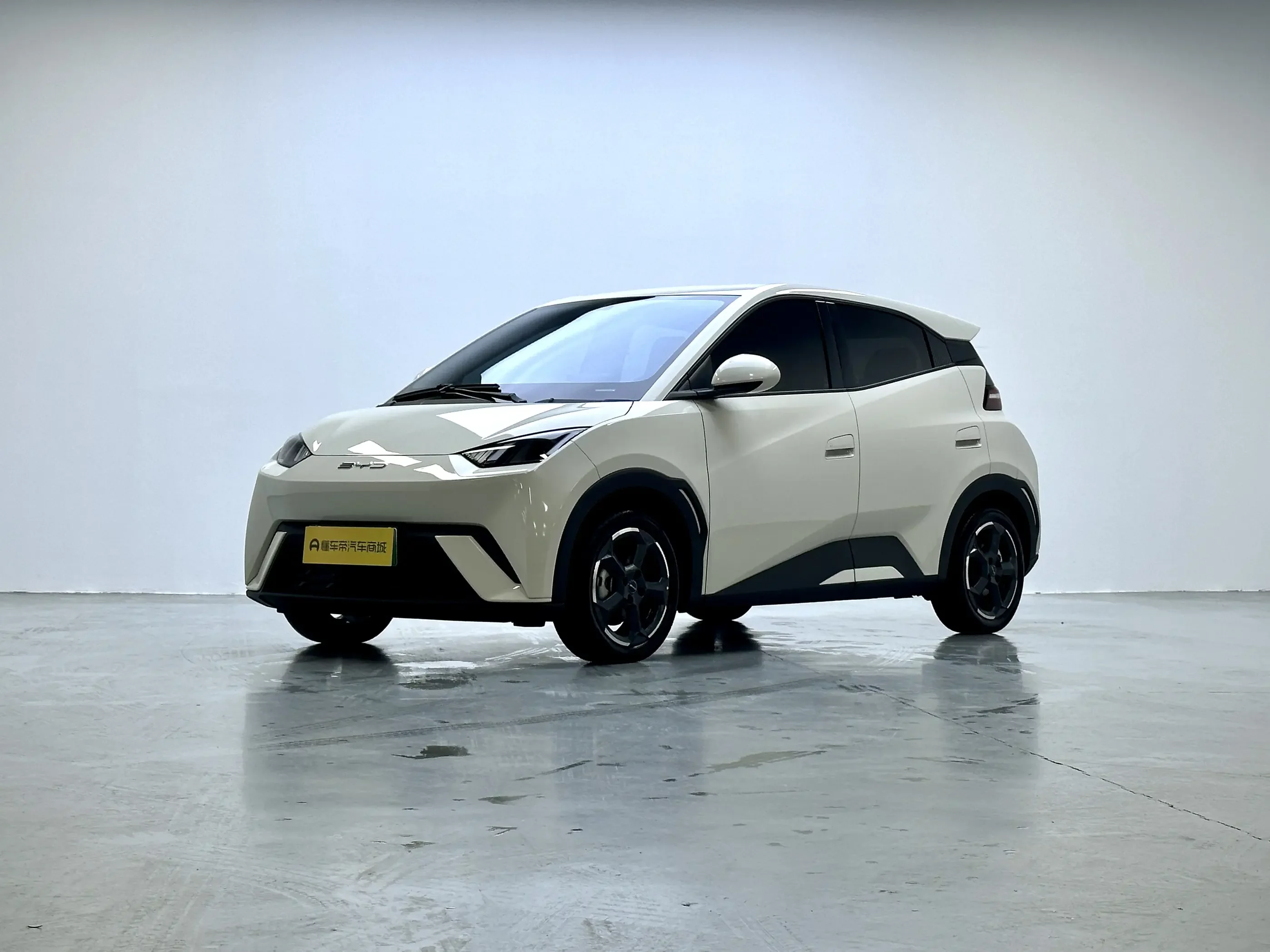 BYD seagull