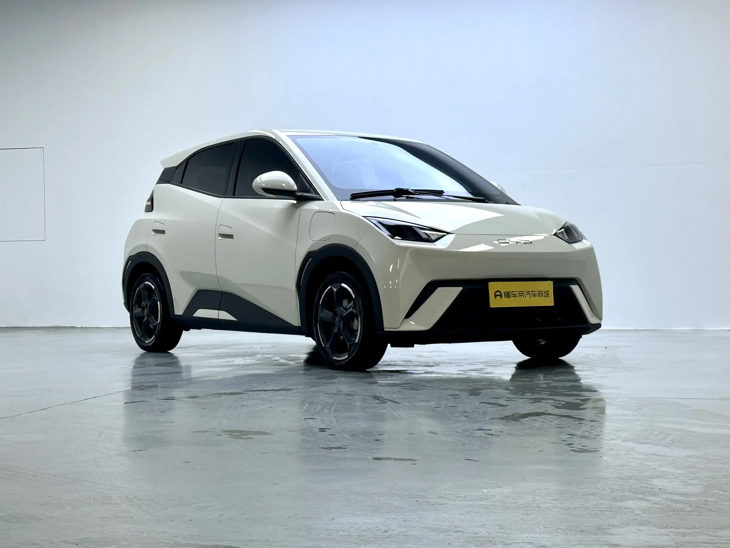 BYD seagull