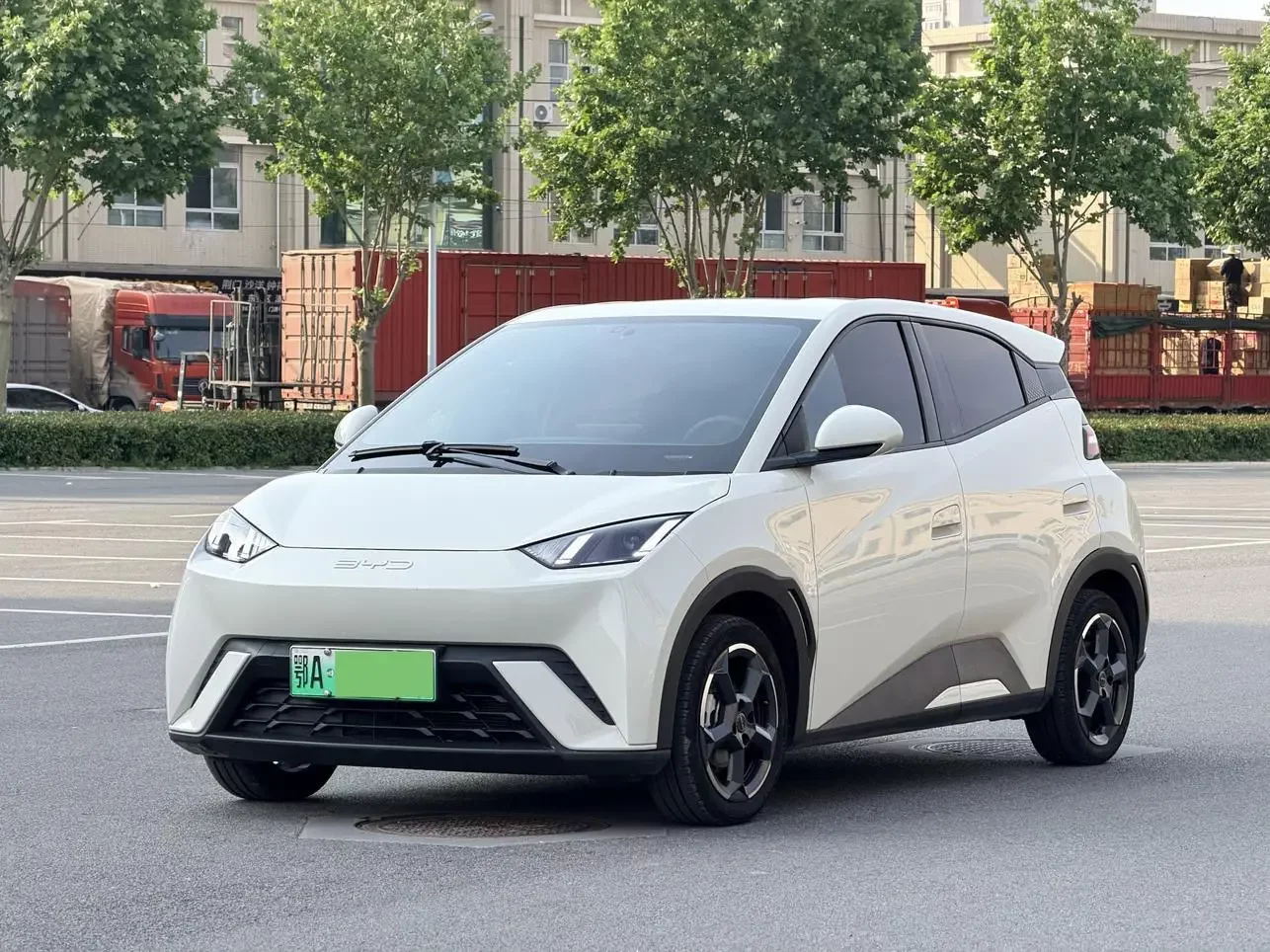 BYD seagull
