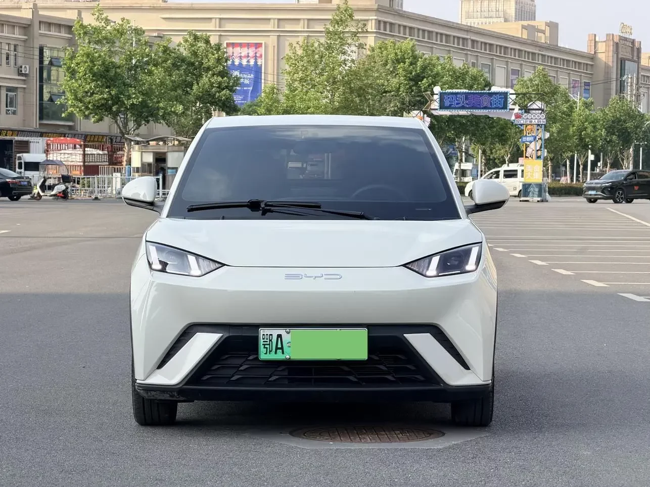 BYD seagull