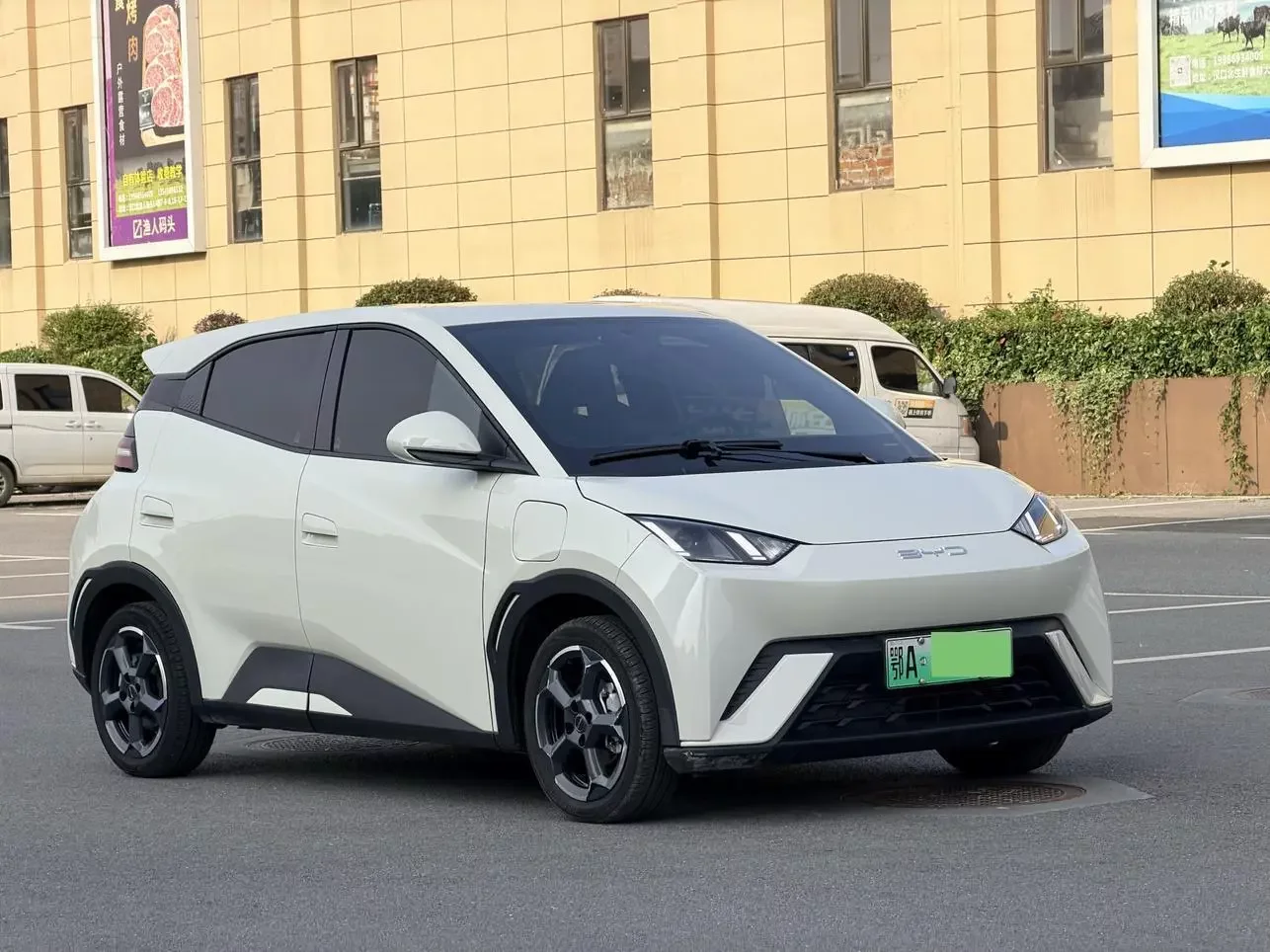 BYD seagull
