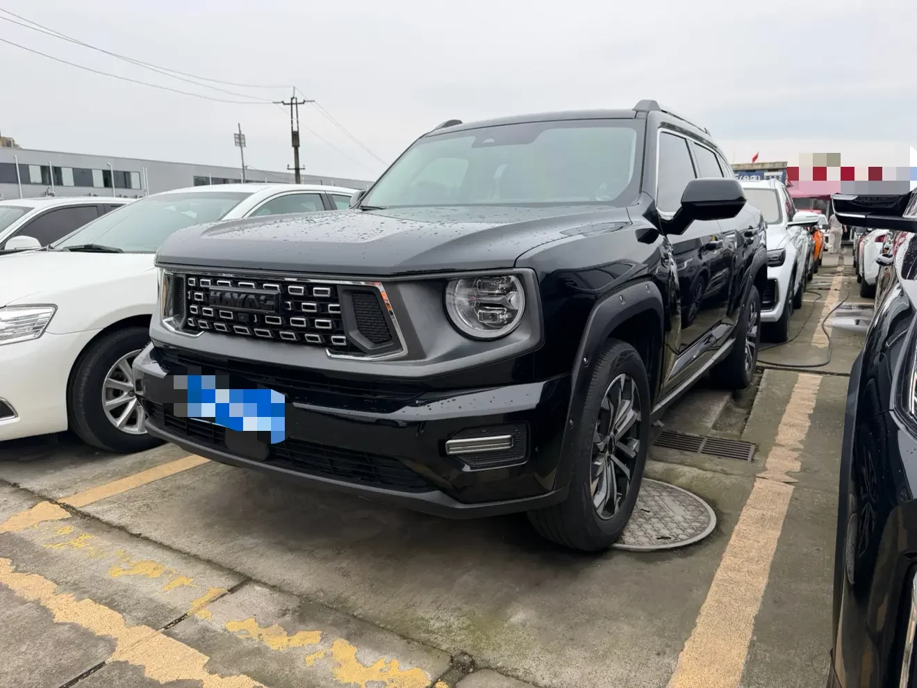 Haval H-Dog