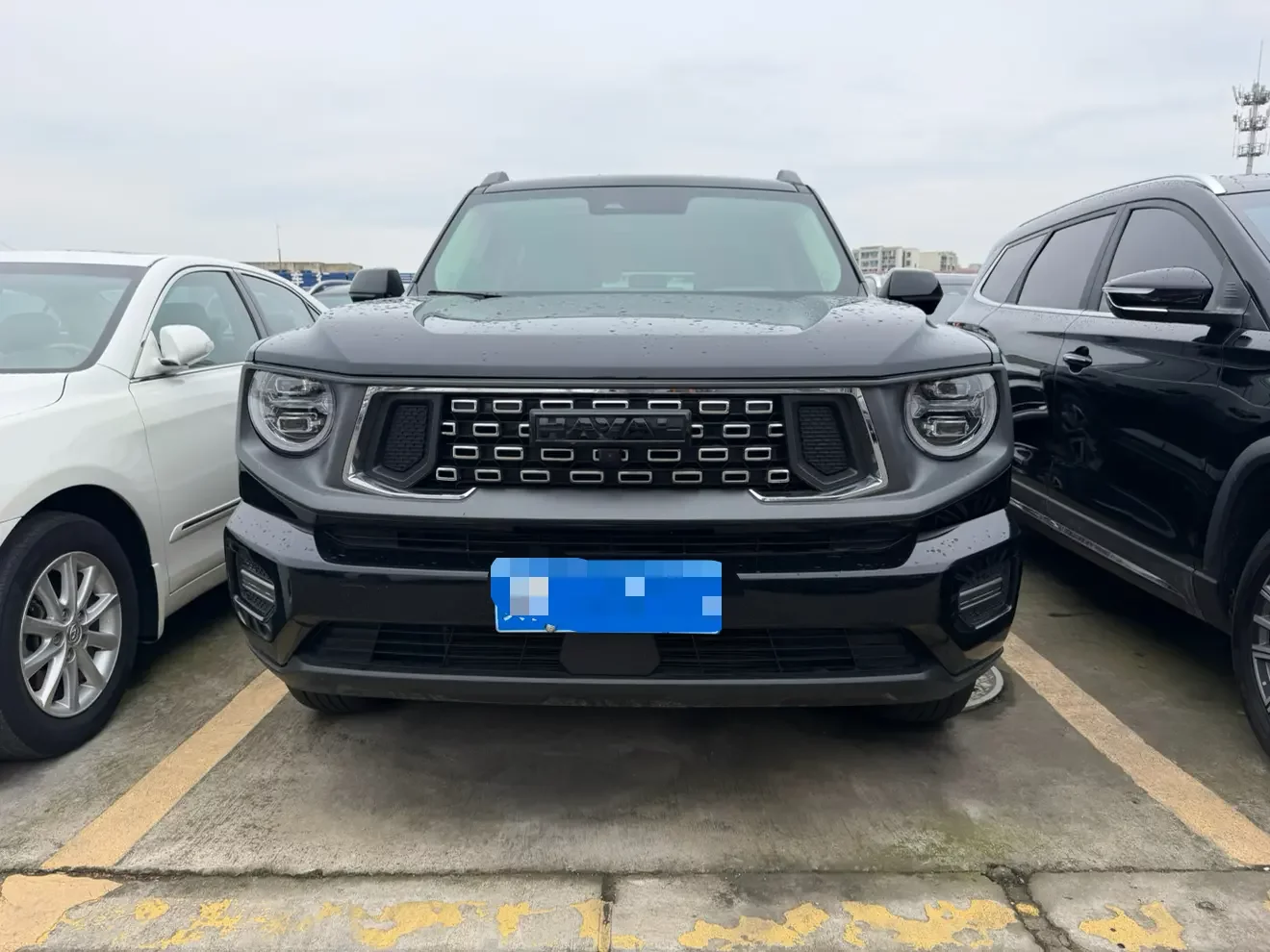 Haval H-Dog