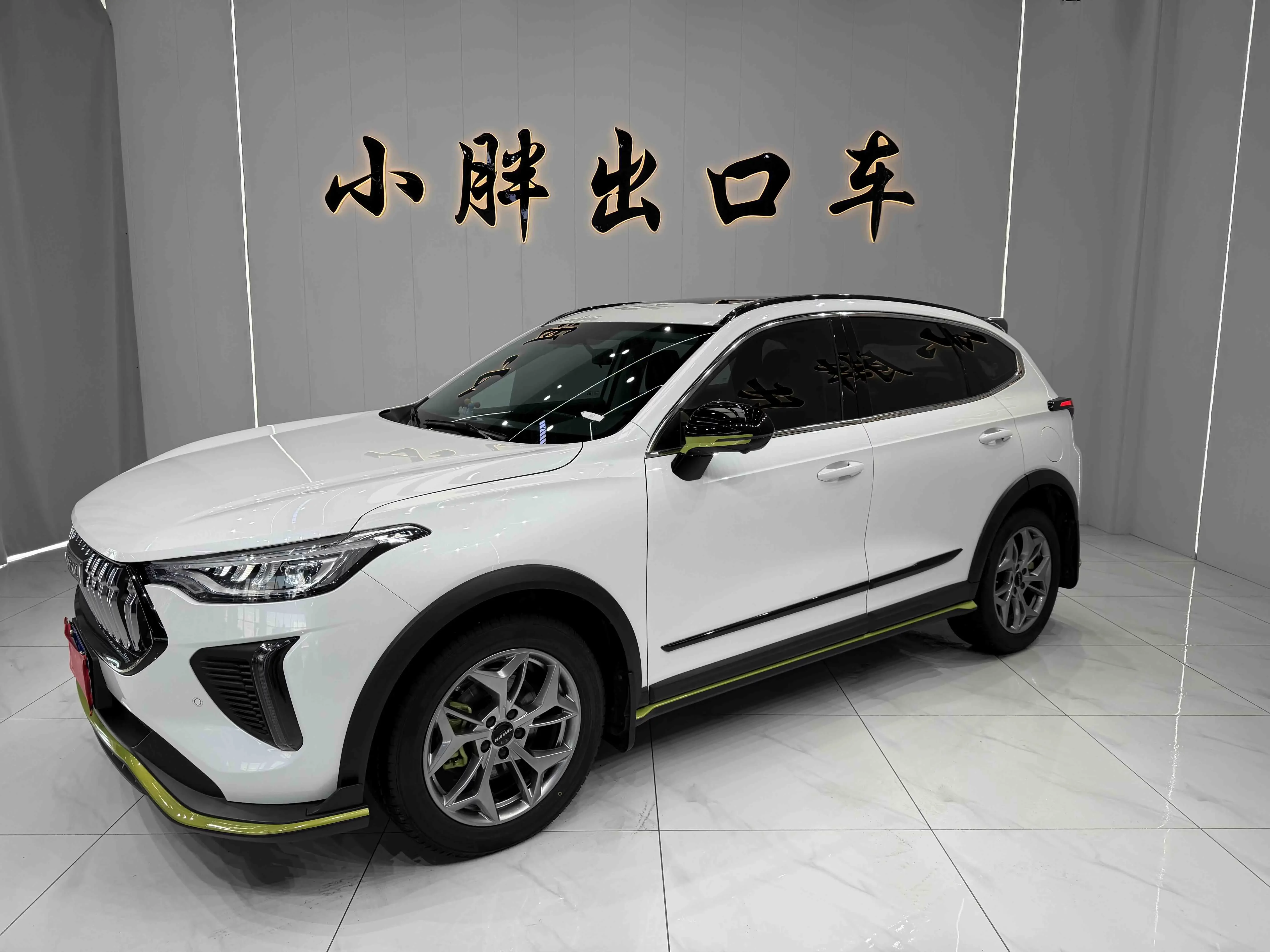HAVAL HARVARD RED RABBIT