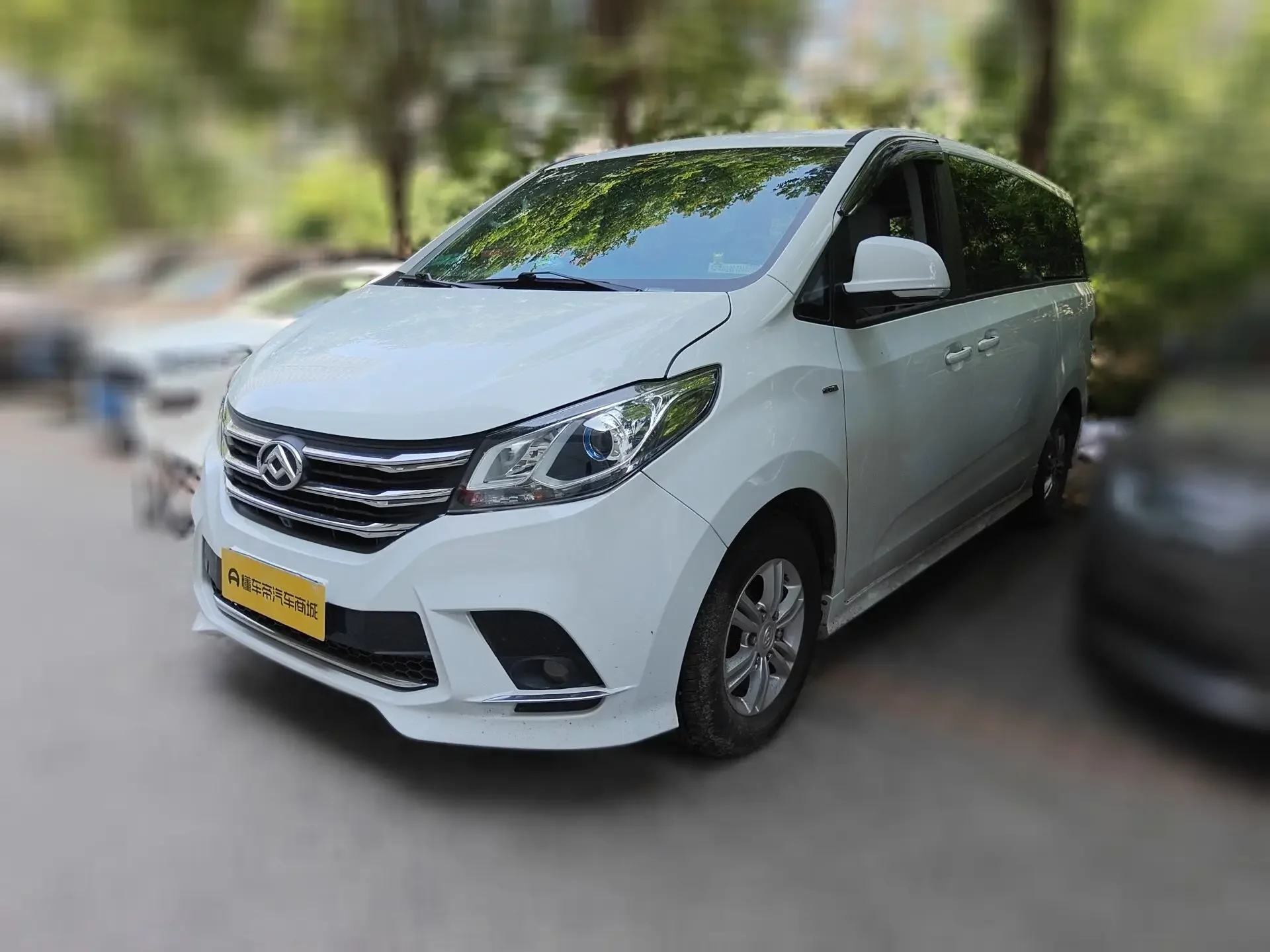 Datong Maxus G10