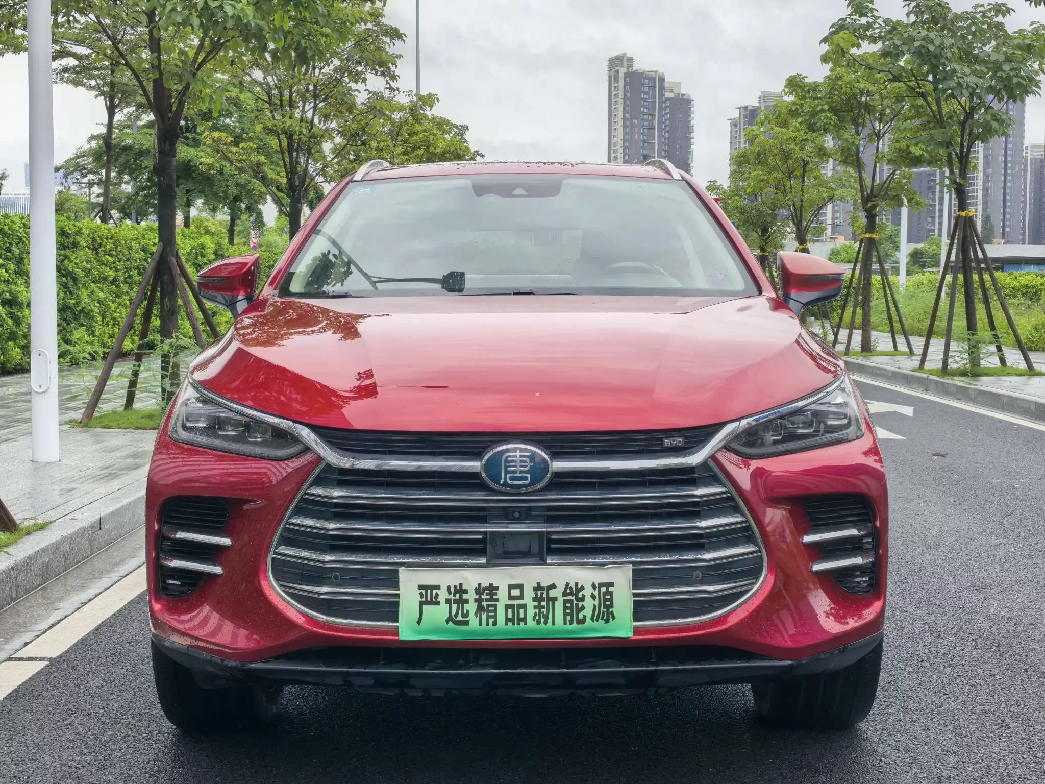 BYD Tang DM