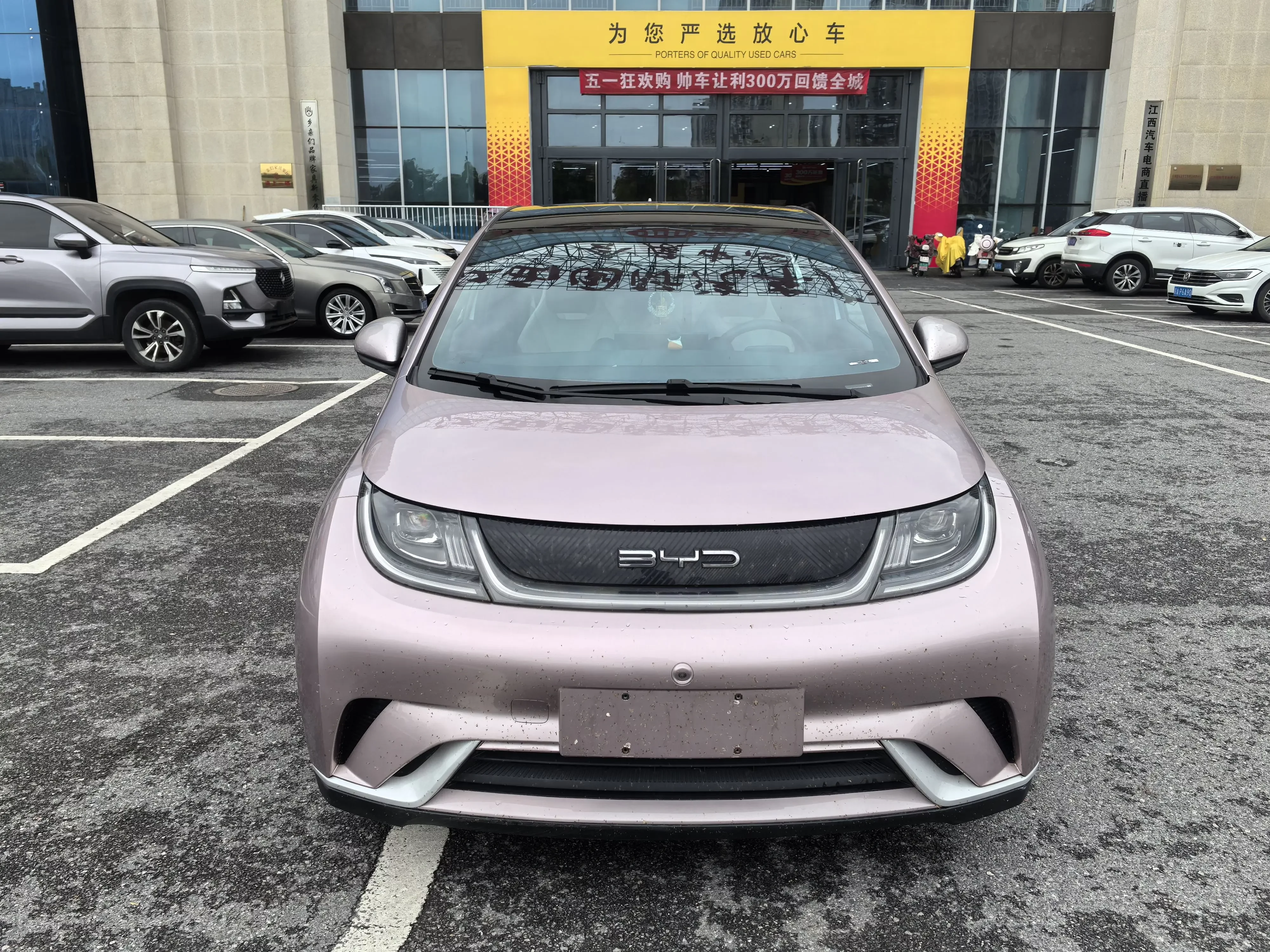 BYD dolphin