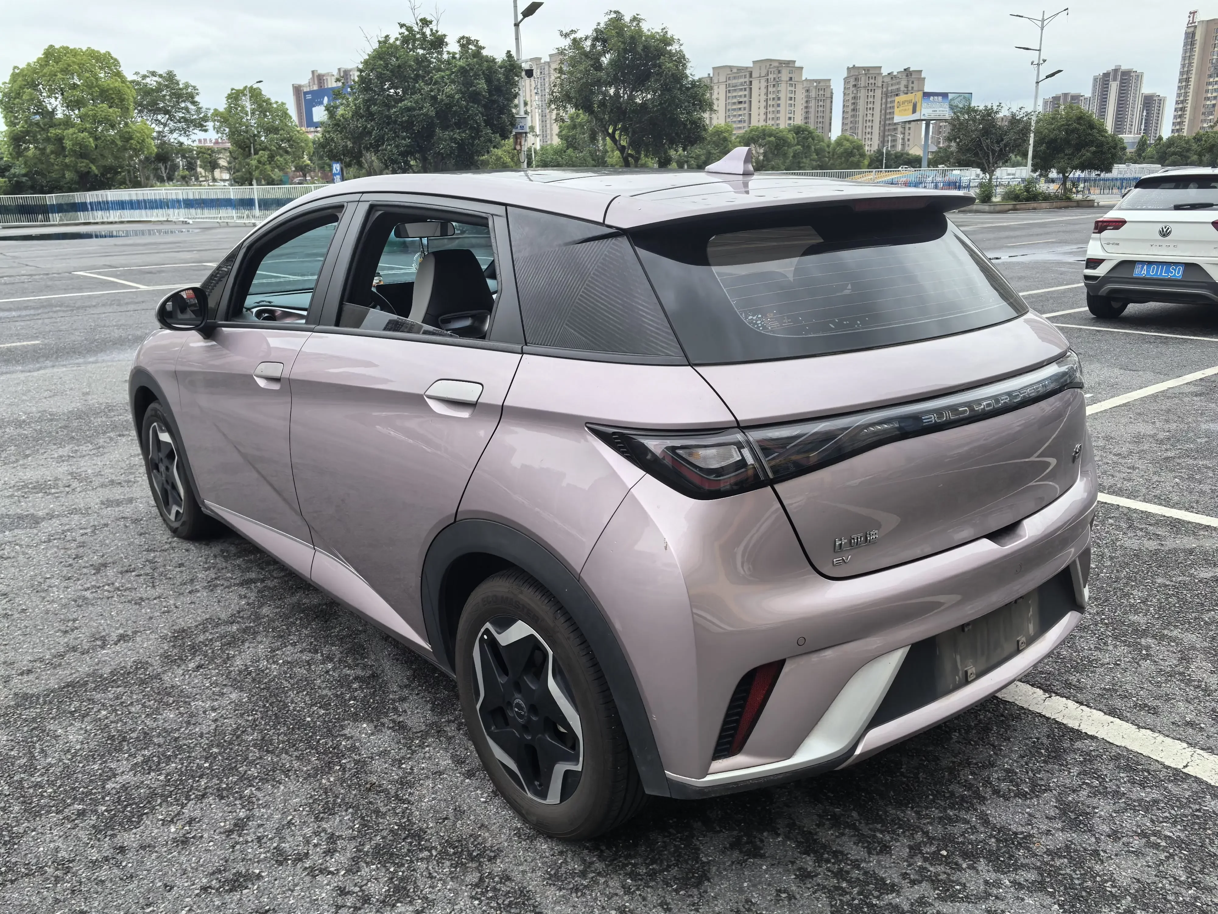 BYD dolphin