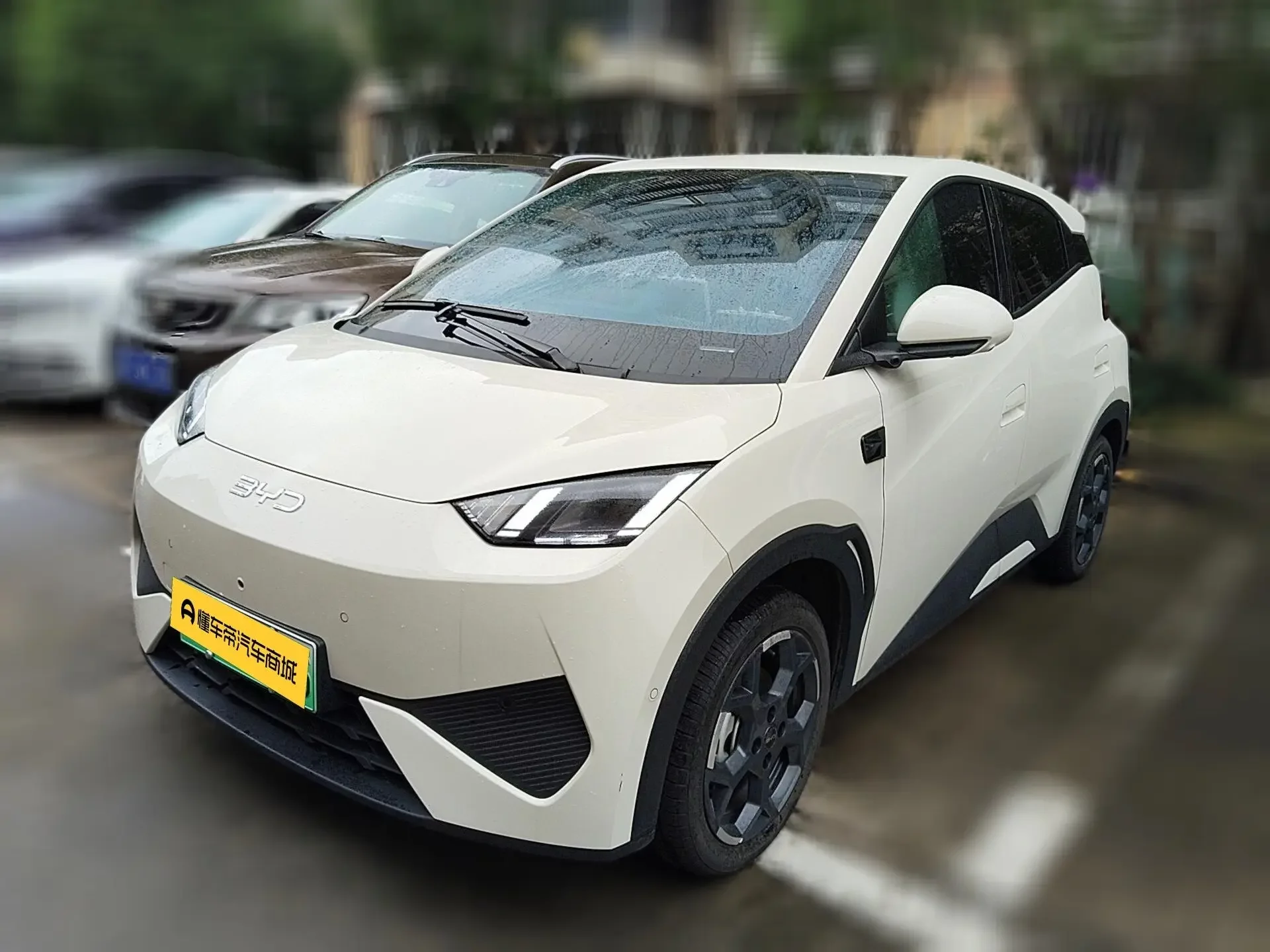 BYD seagull