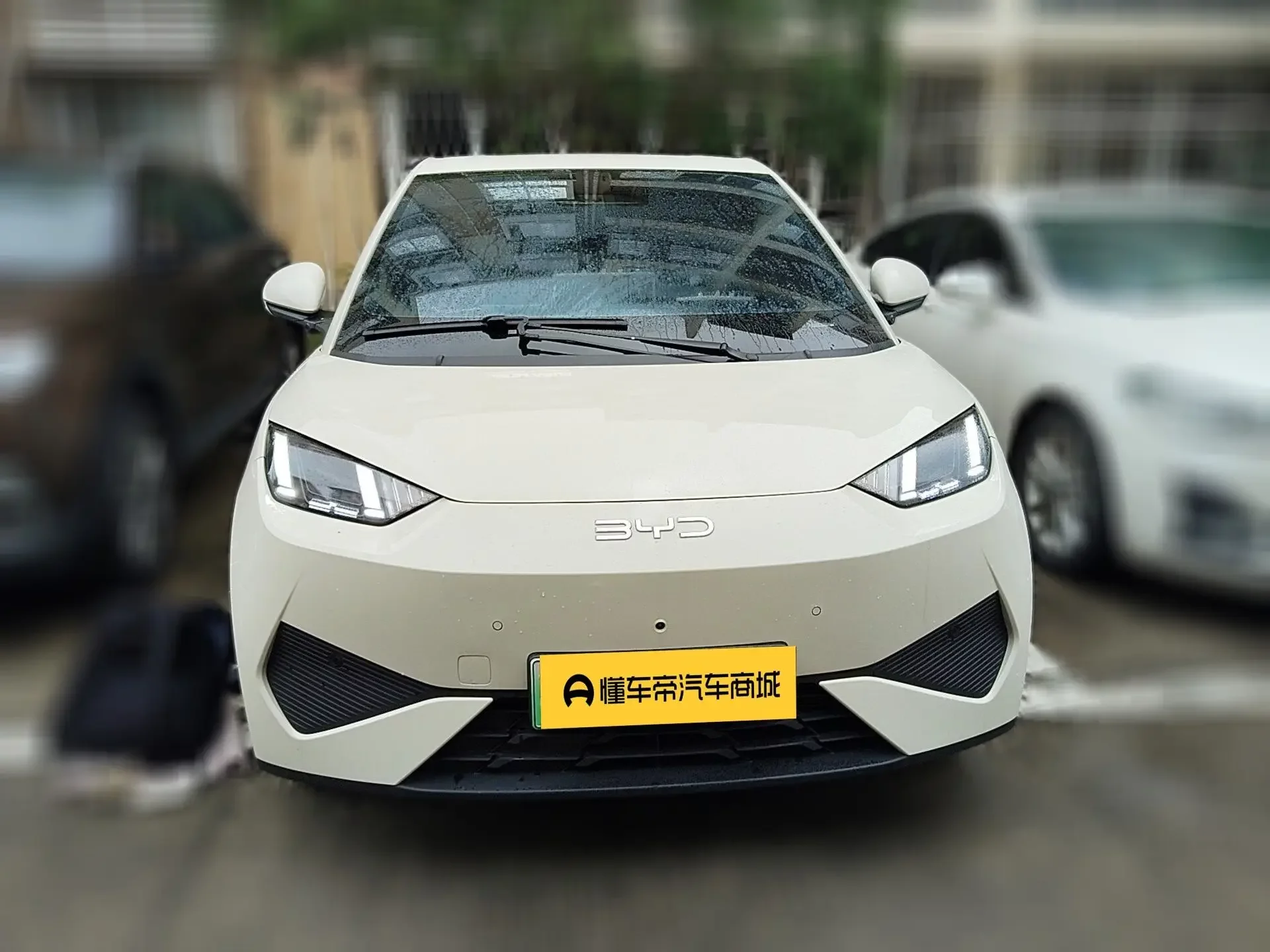 BYD seagull