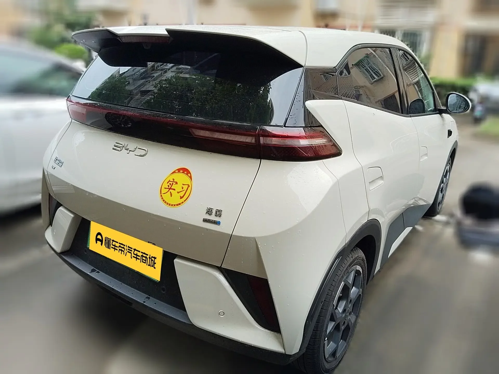 BYD seagull
