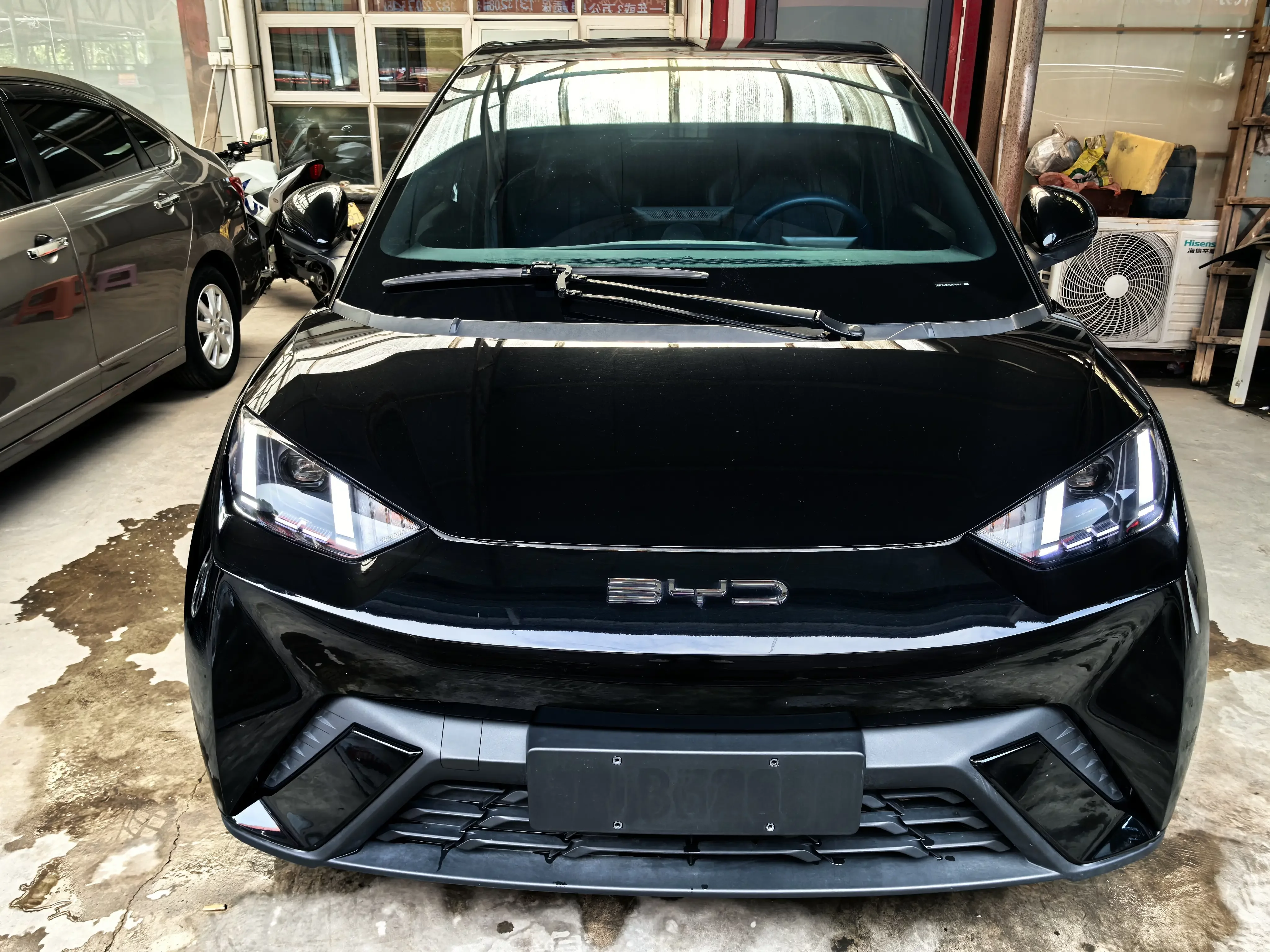 BYD seagull