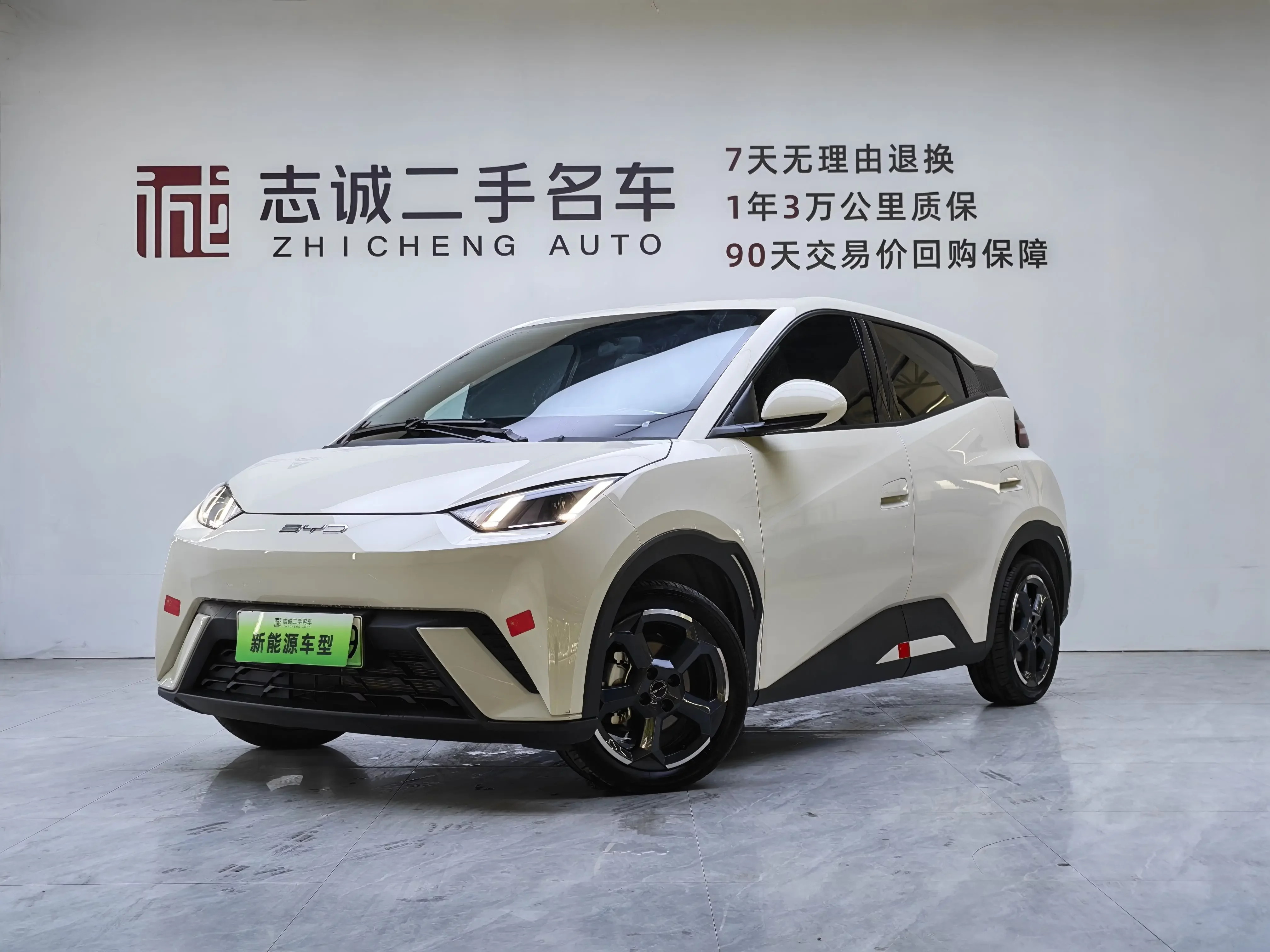 BYD seagull
