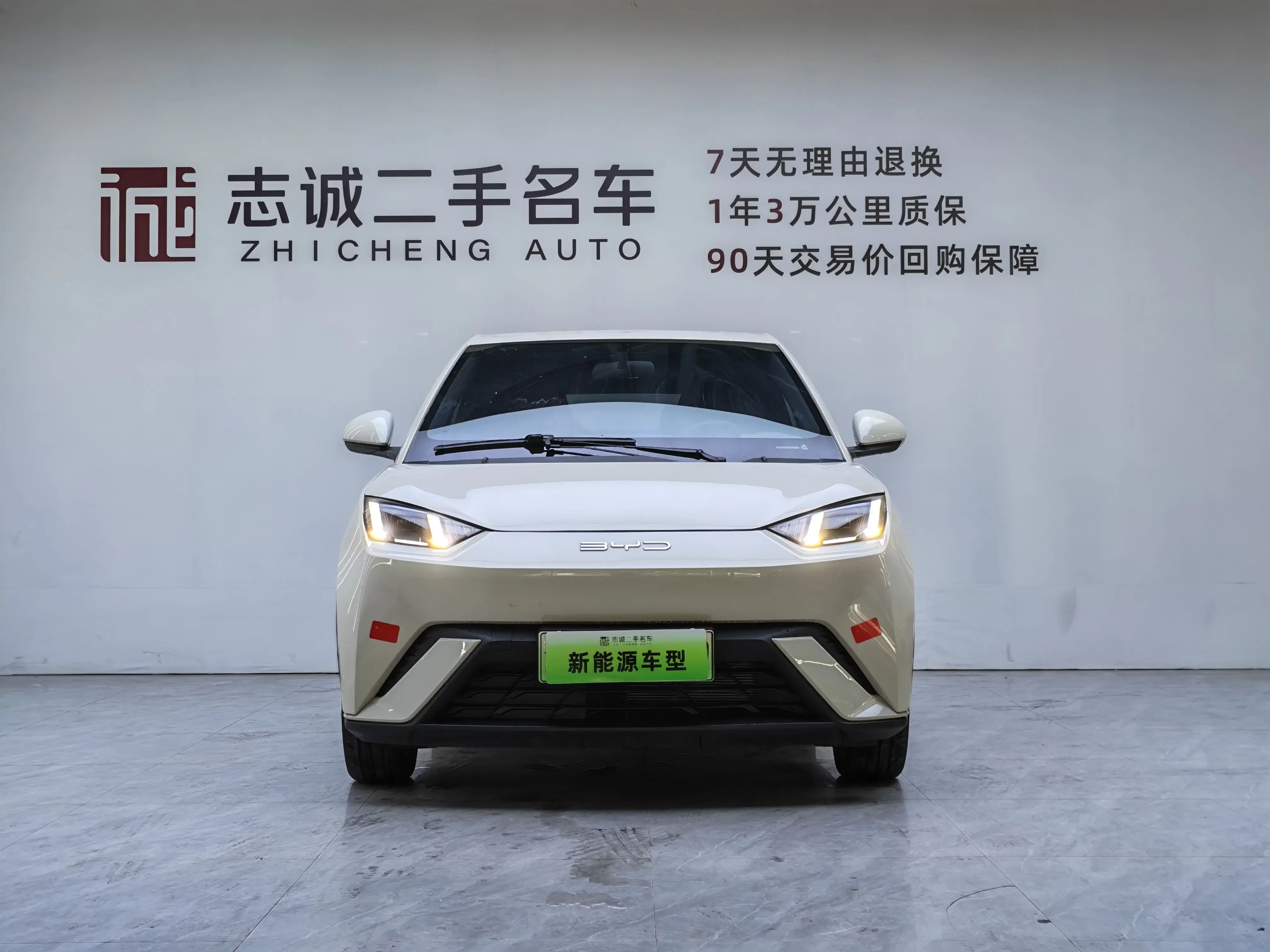 BYD seagull