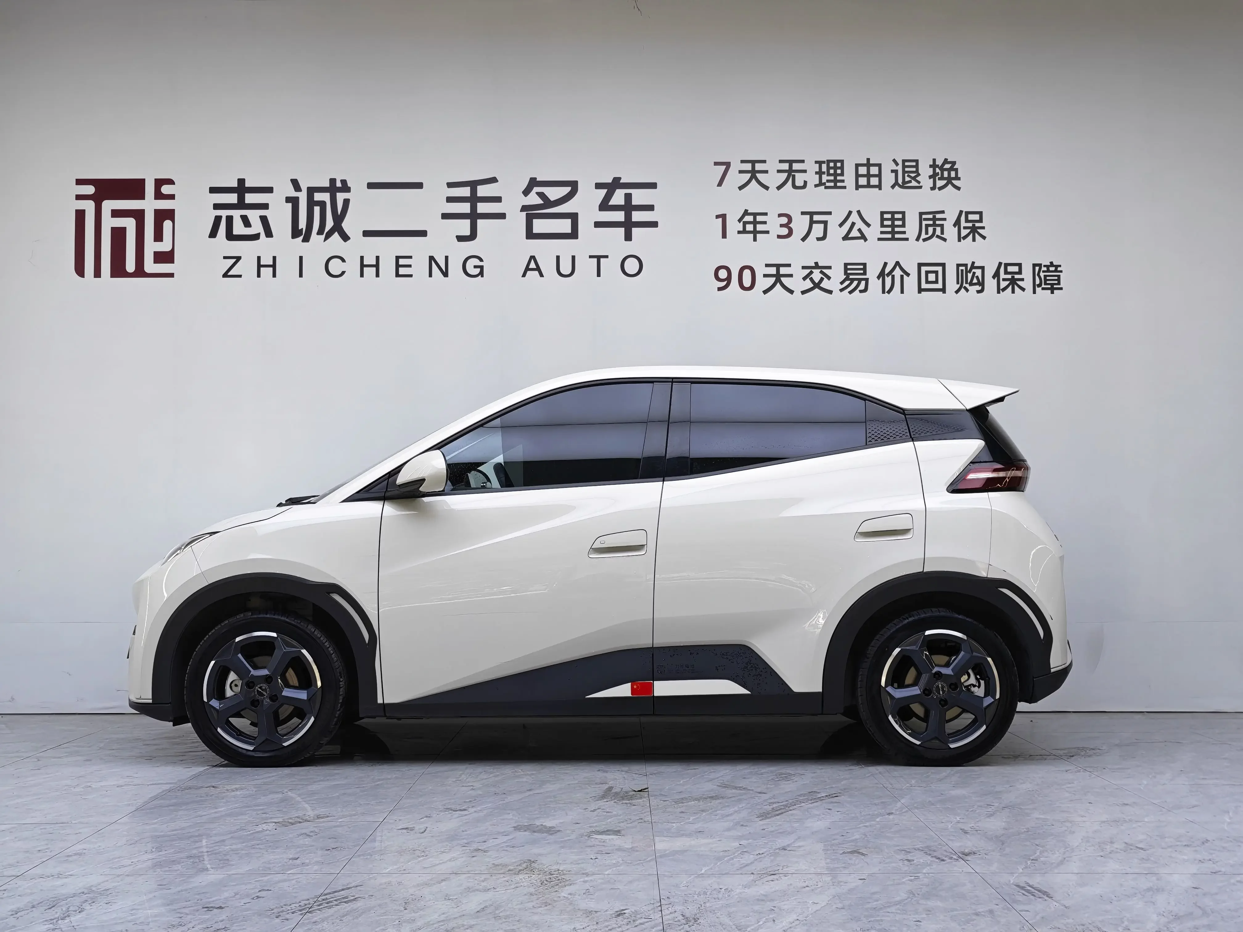 BYD seagull