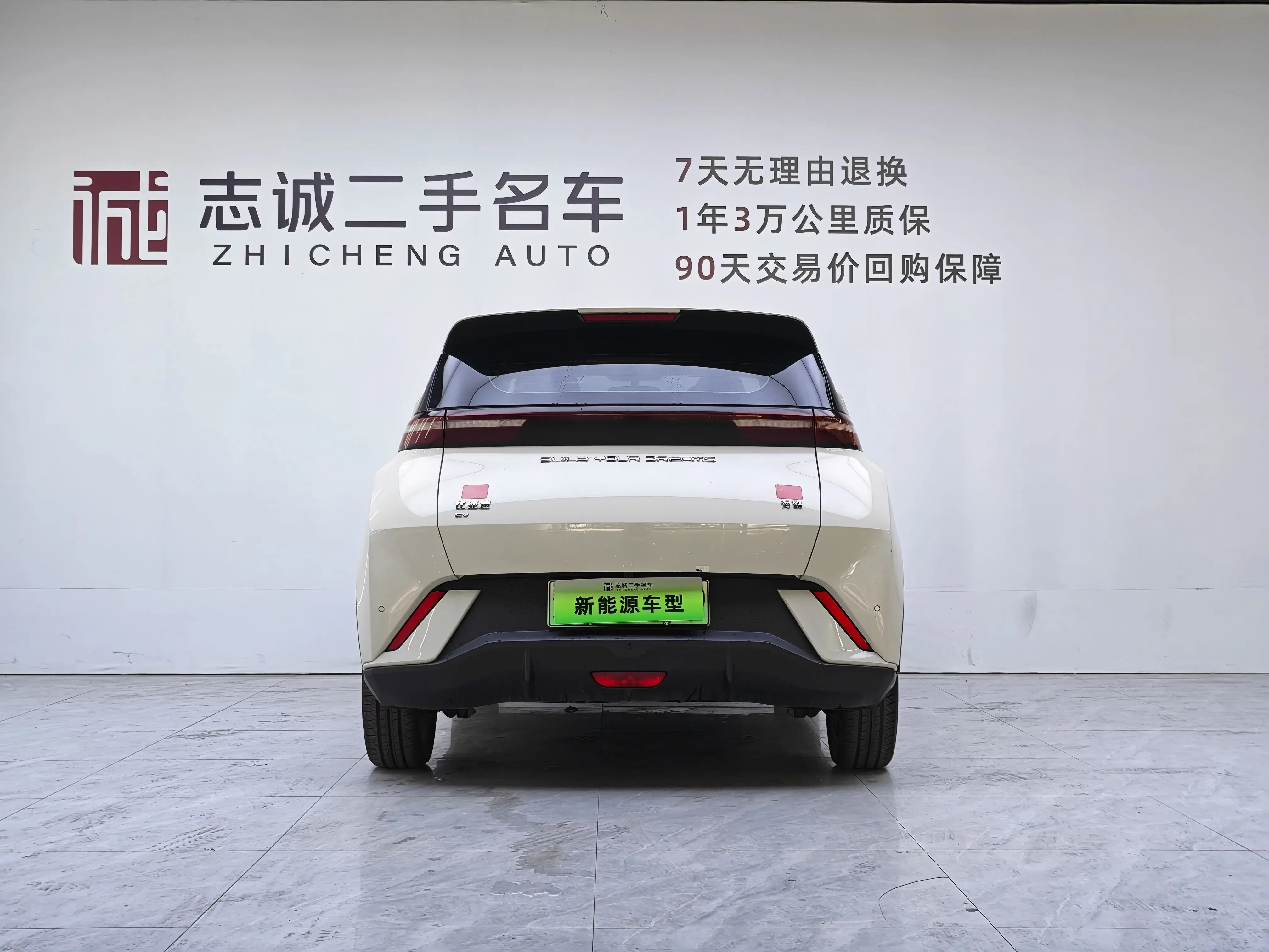BYD seagull