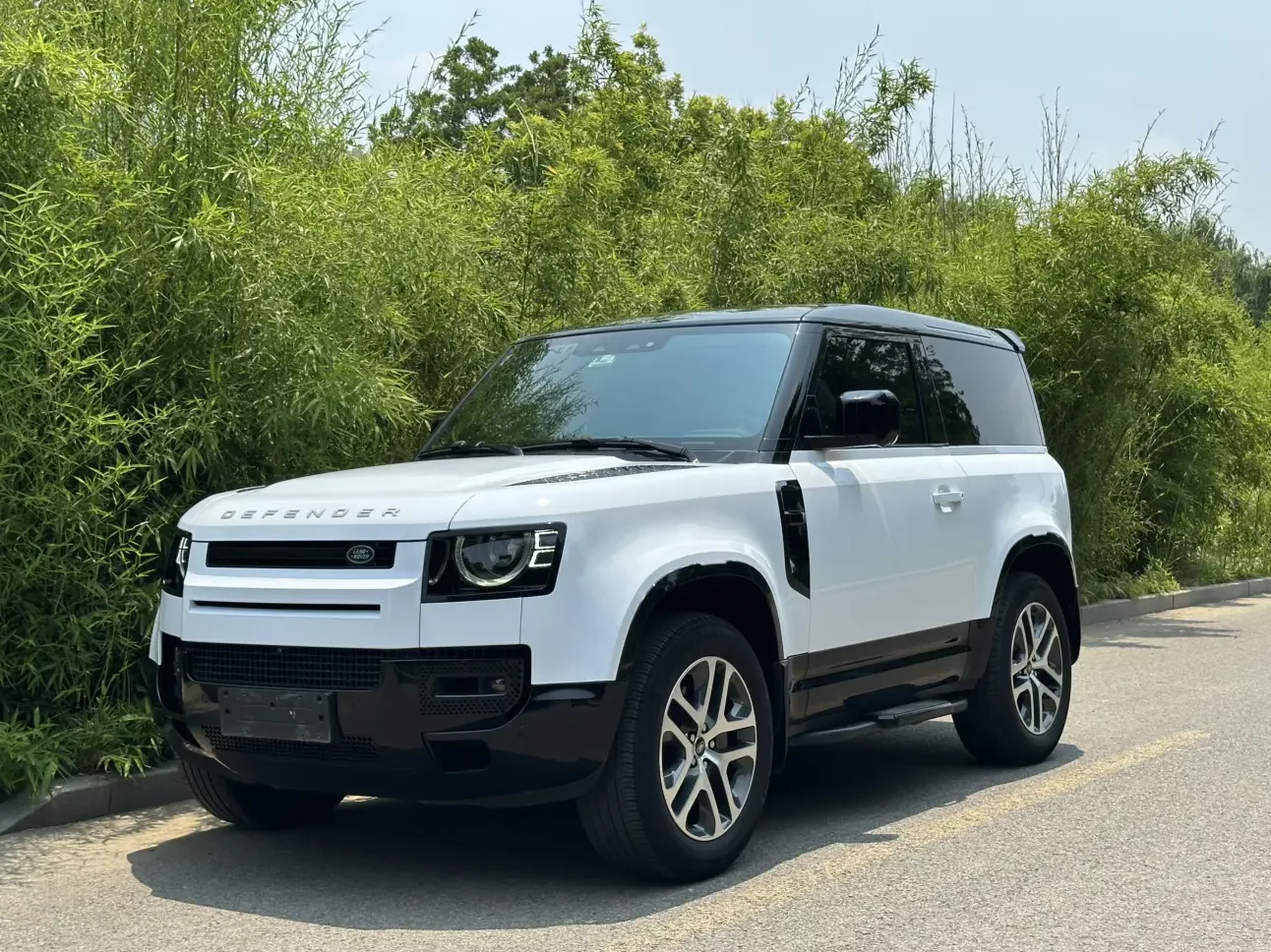 Land Rover guard
