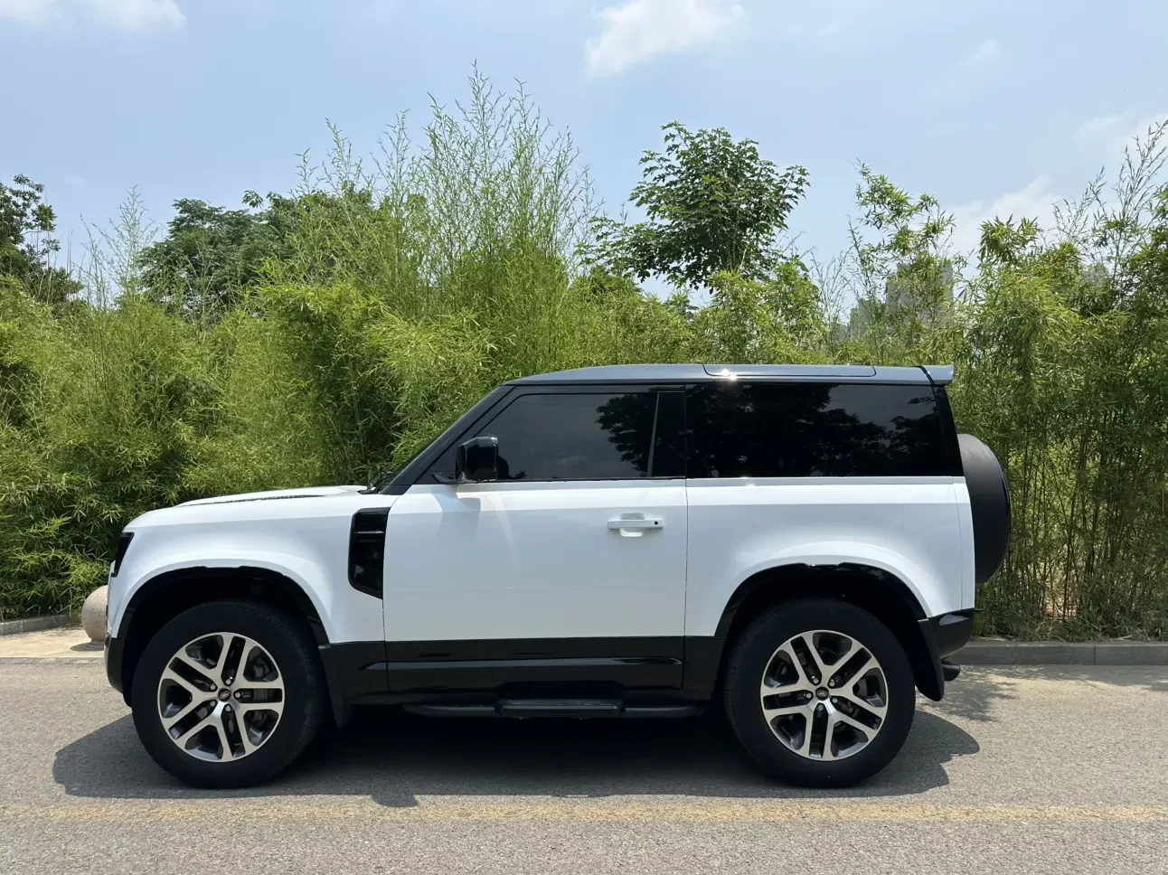 Land Rover guard