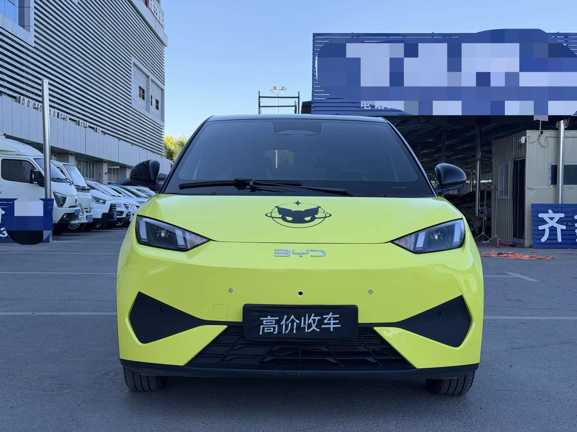 BYD seagull