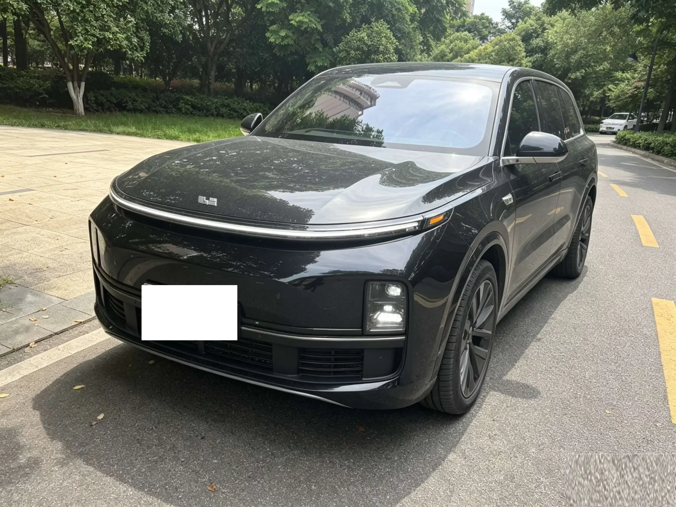 Lixiang L9