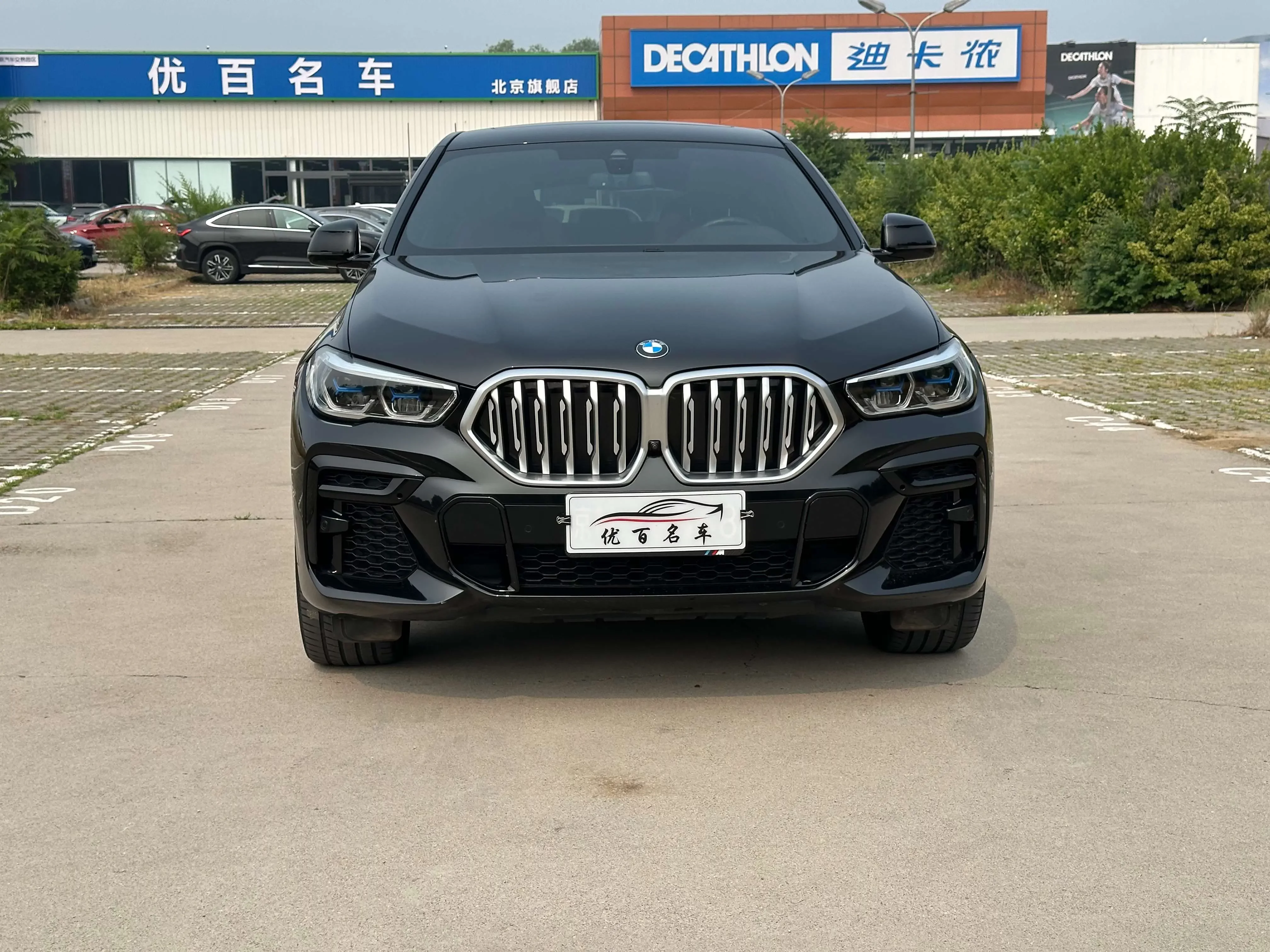 BMW X6