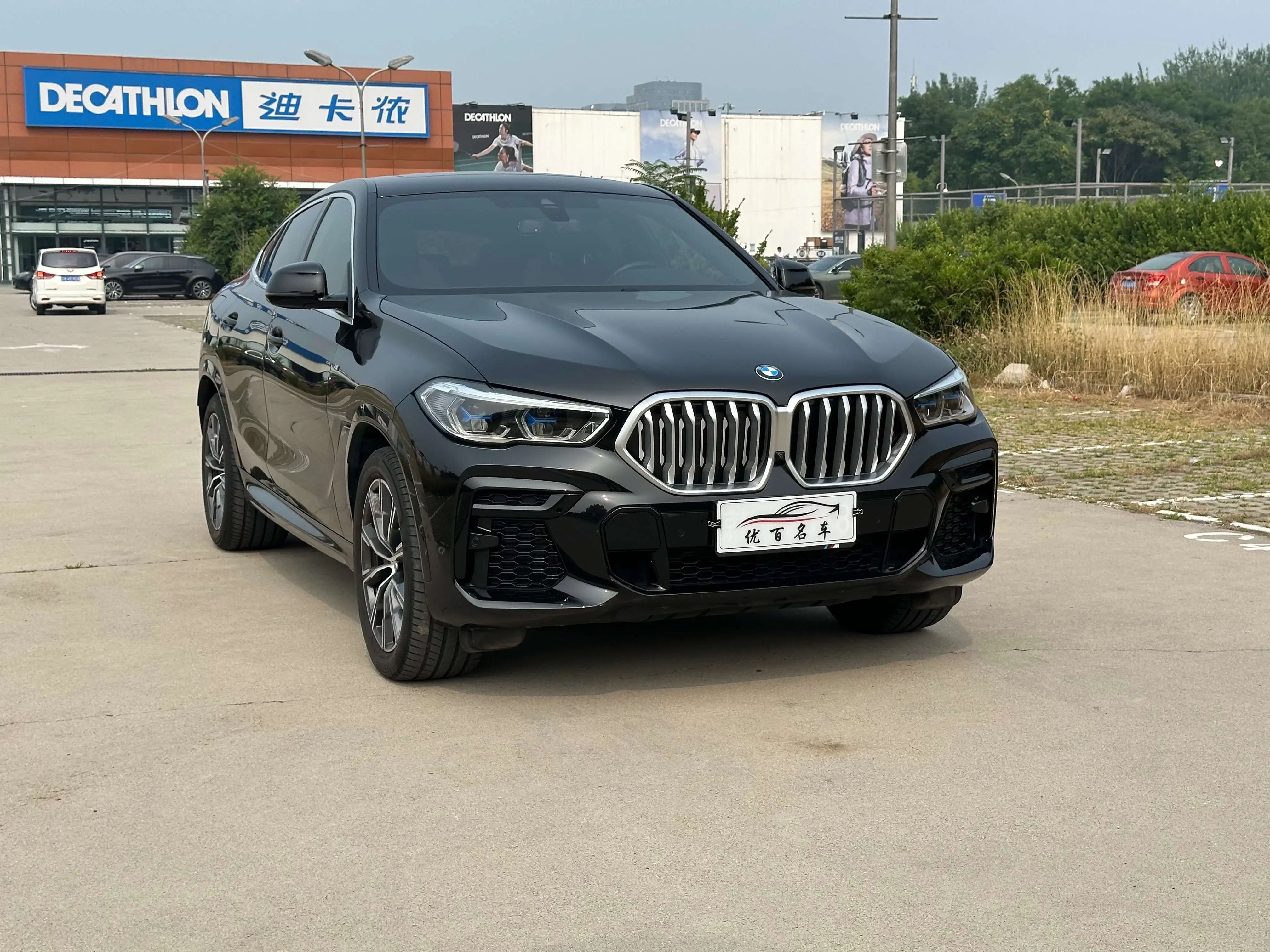 BMW X6