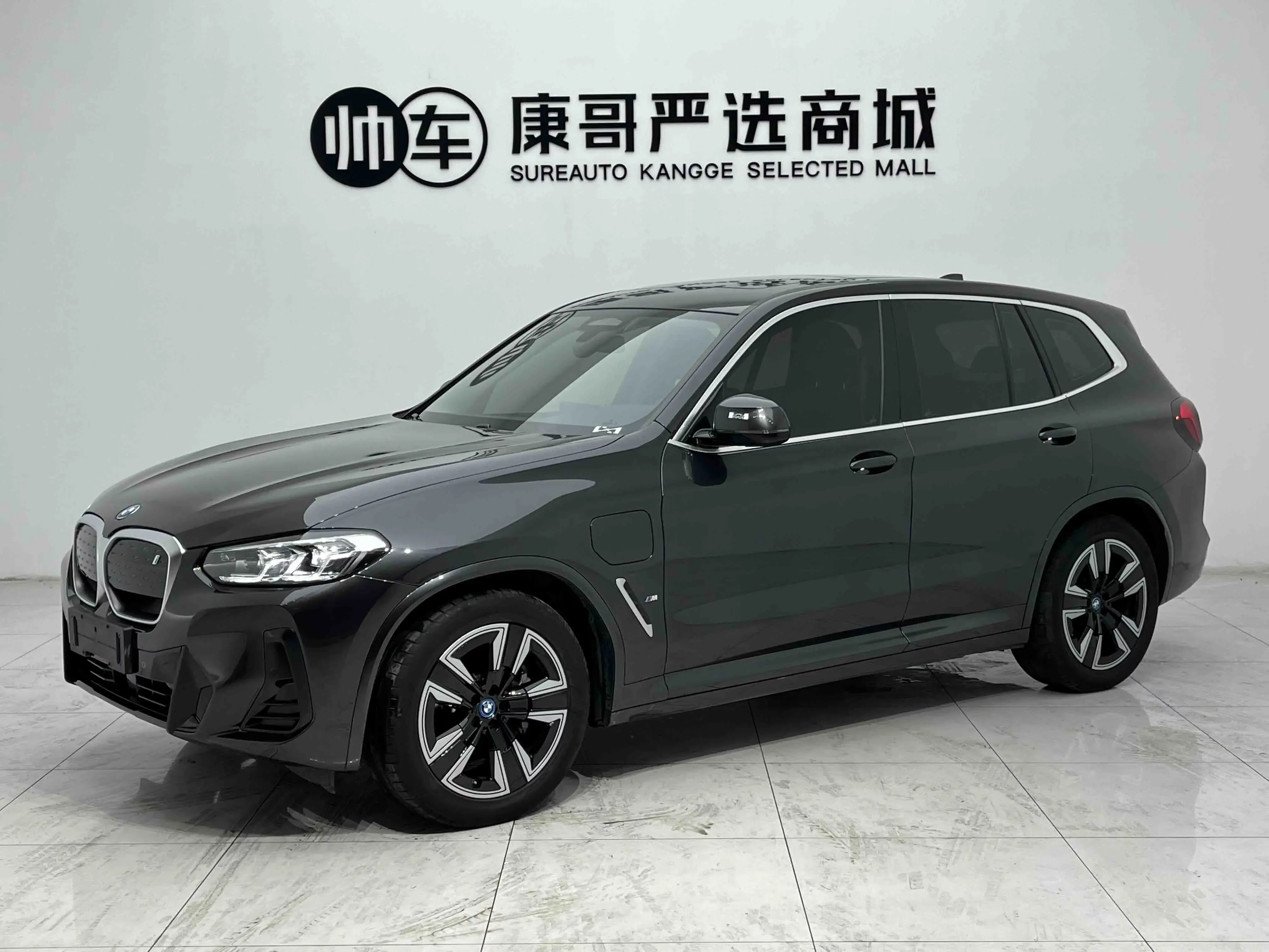 BMW IX3