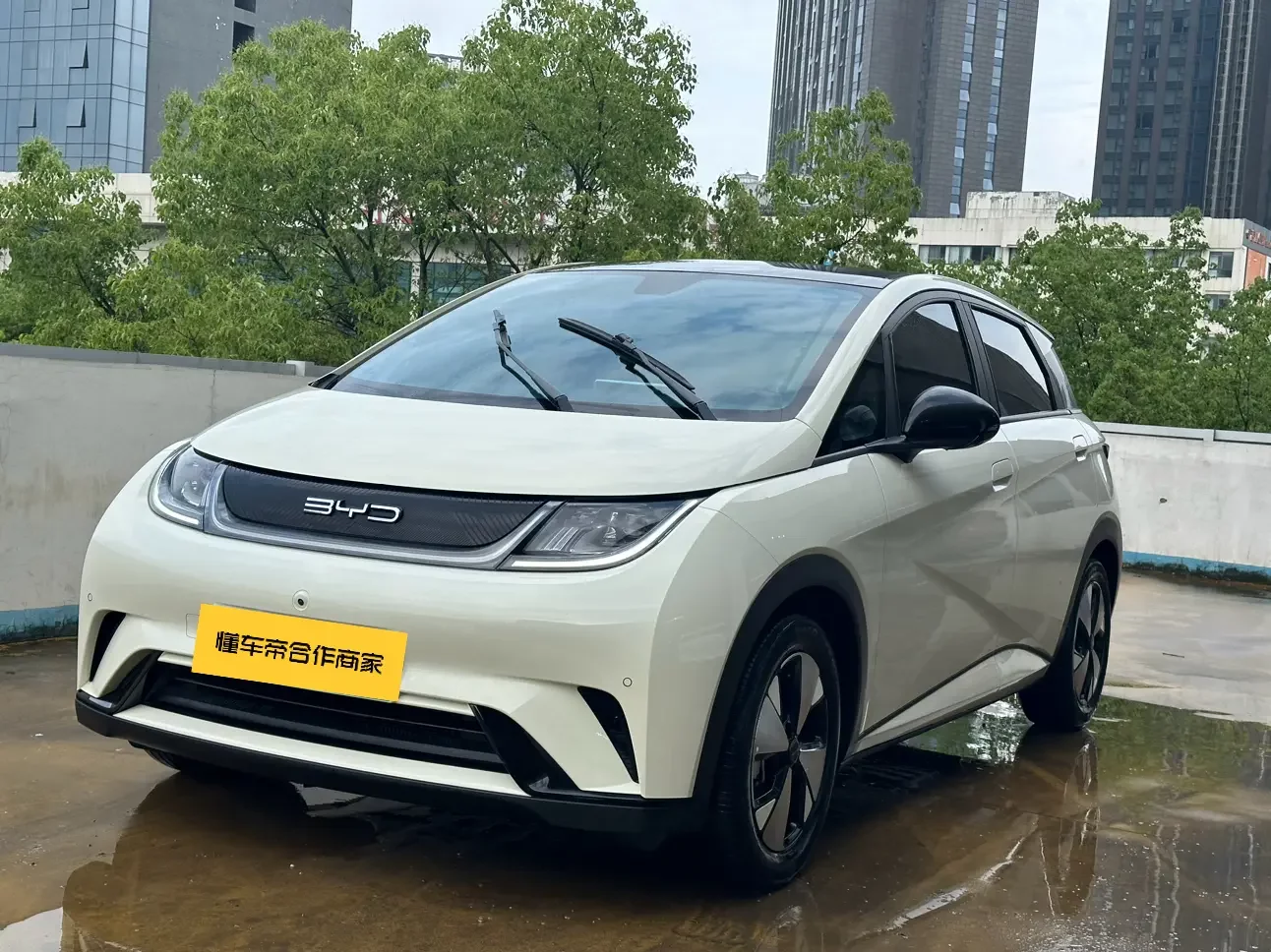 BYD dolphin