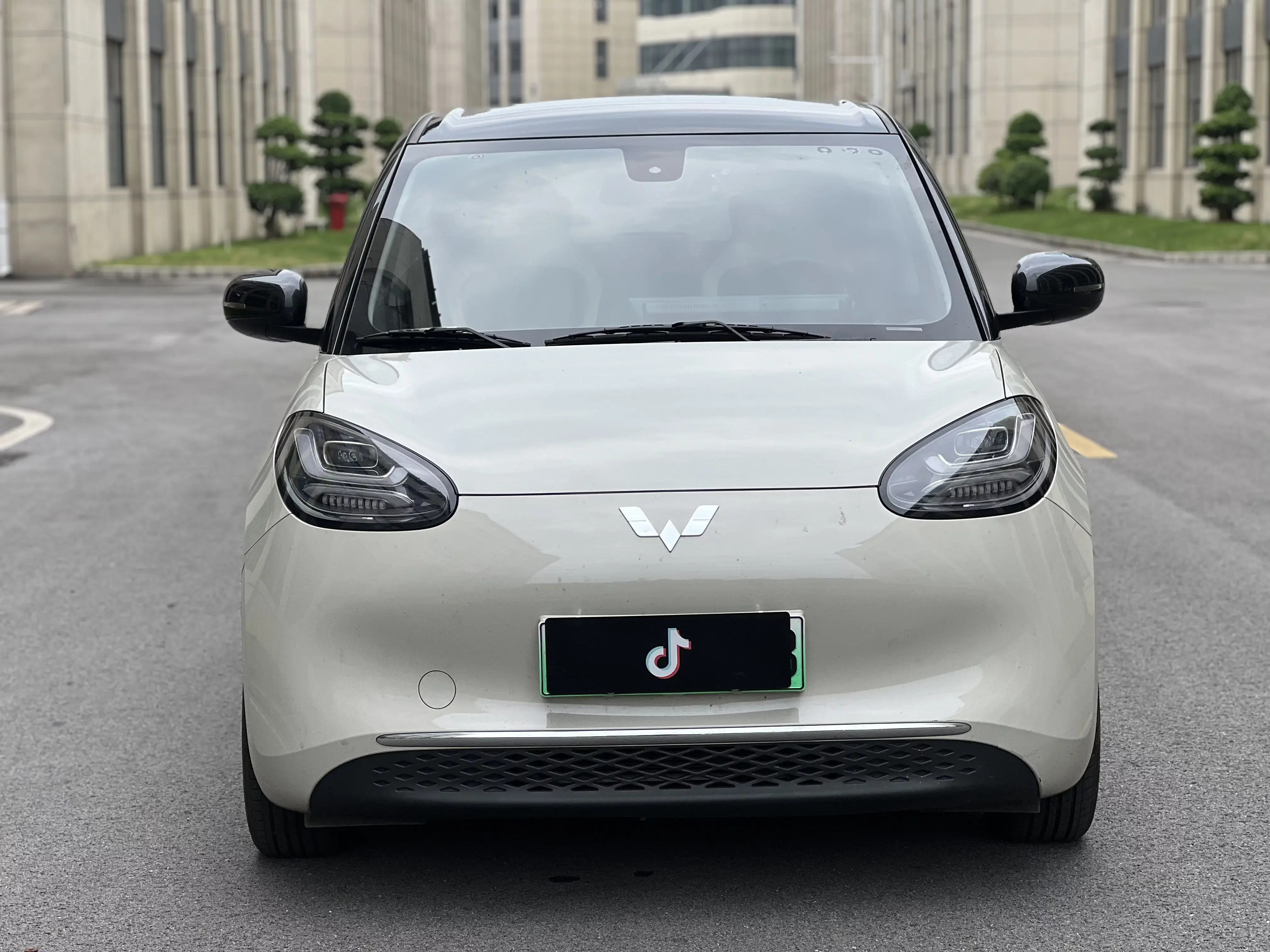 Wuling Bingo