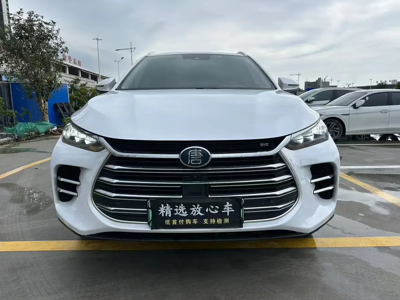 BYD Tang DM