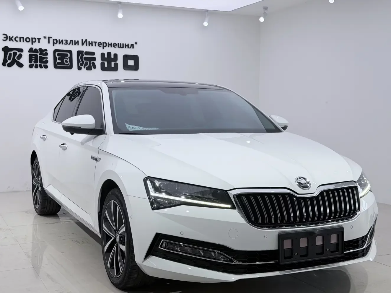 Skoda Speedy