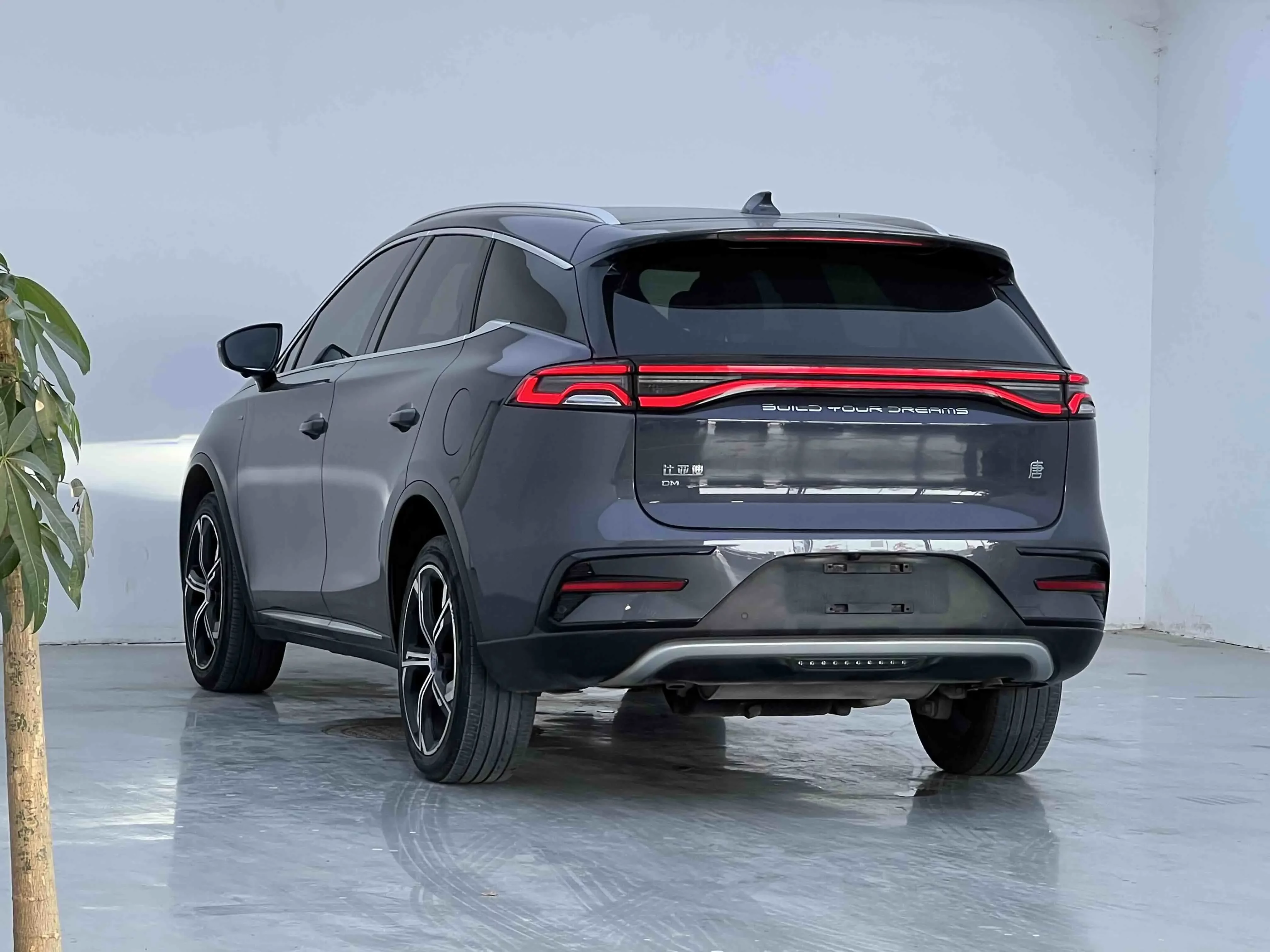 BYD Tang DM