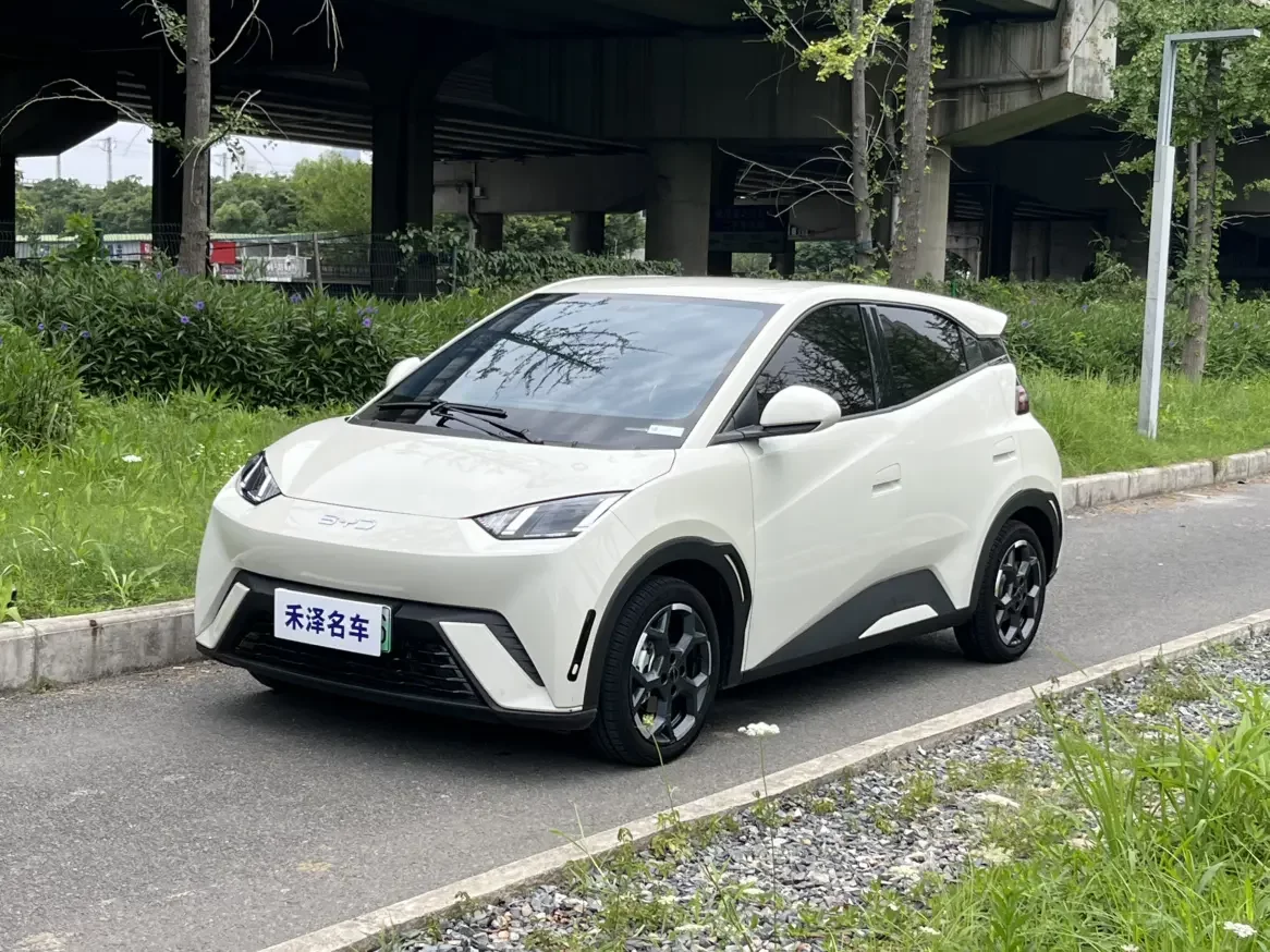 BYD seagull