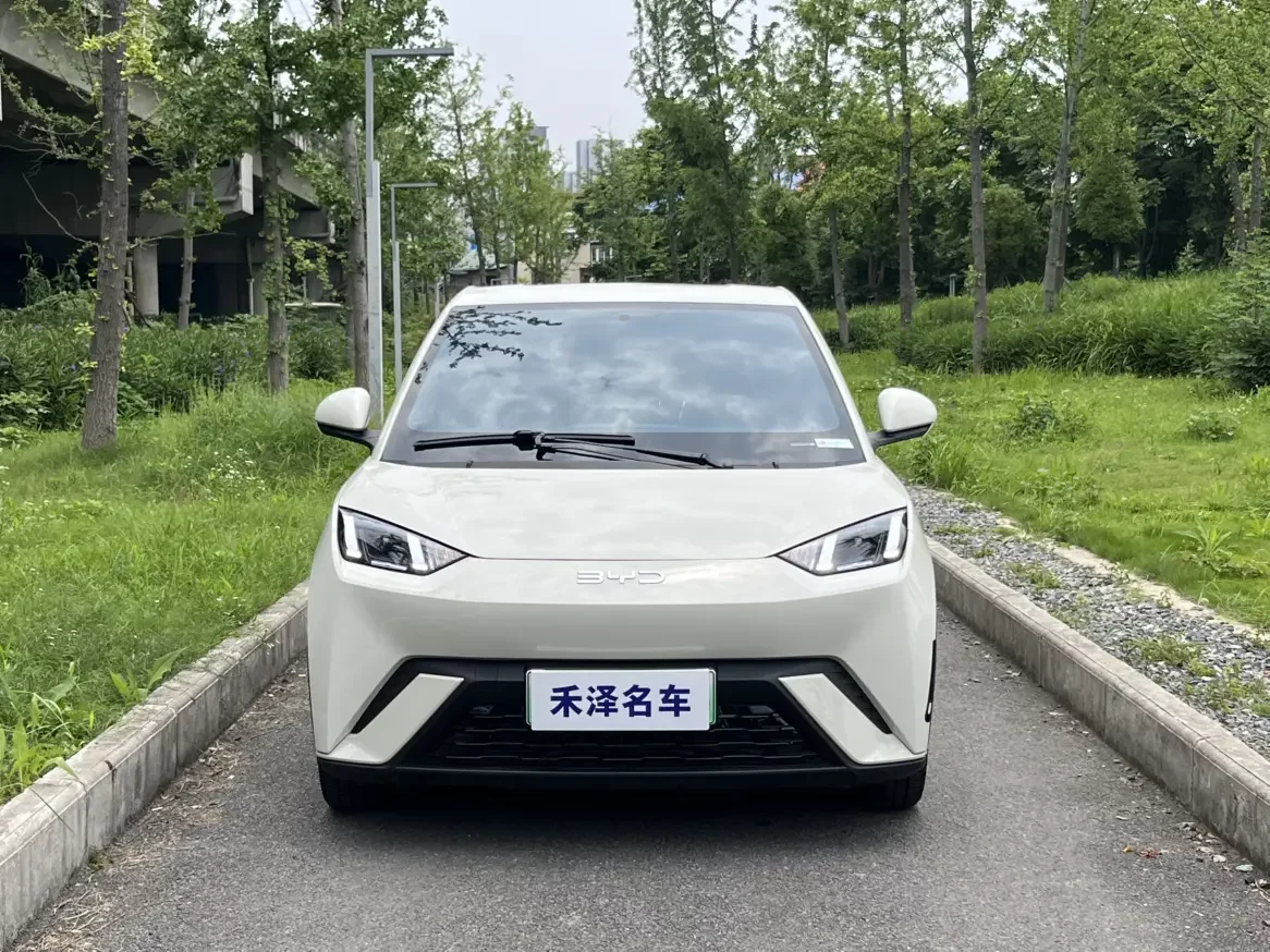 BYD seagull