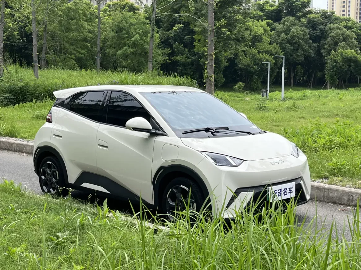 BYD seagull