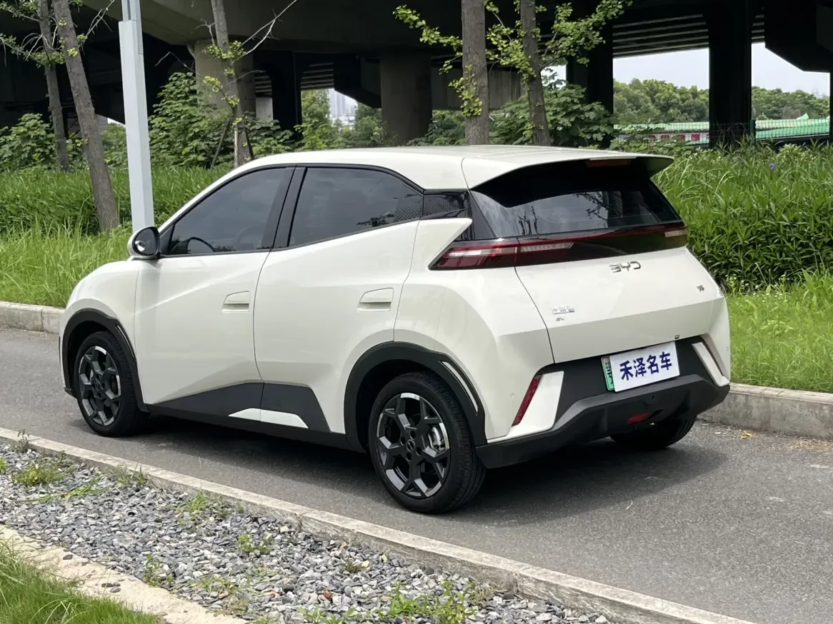 BYD seagull