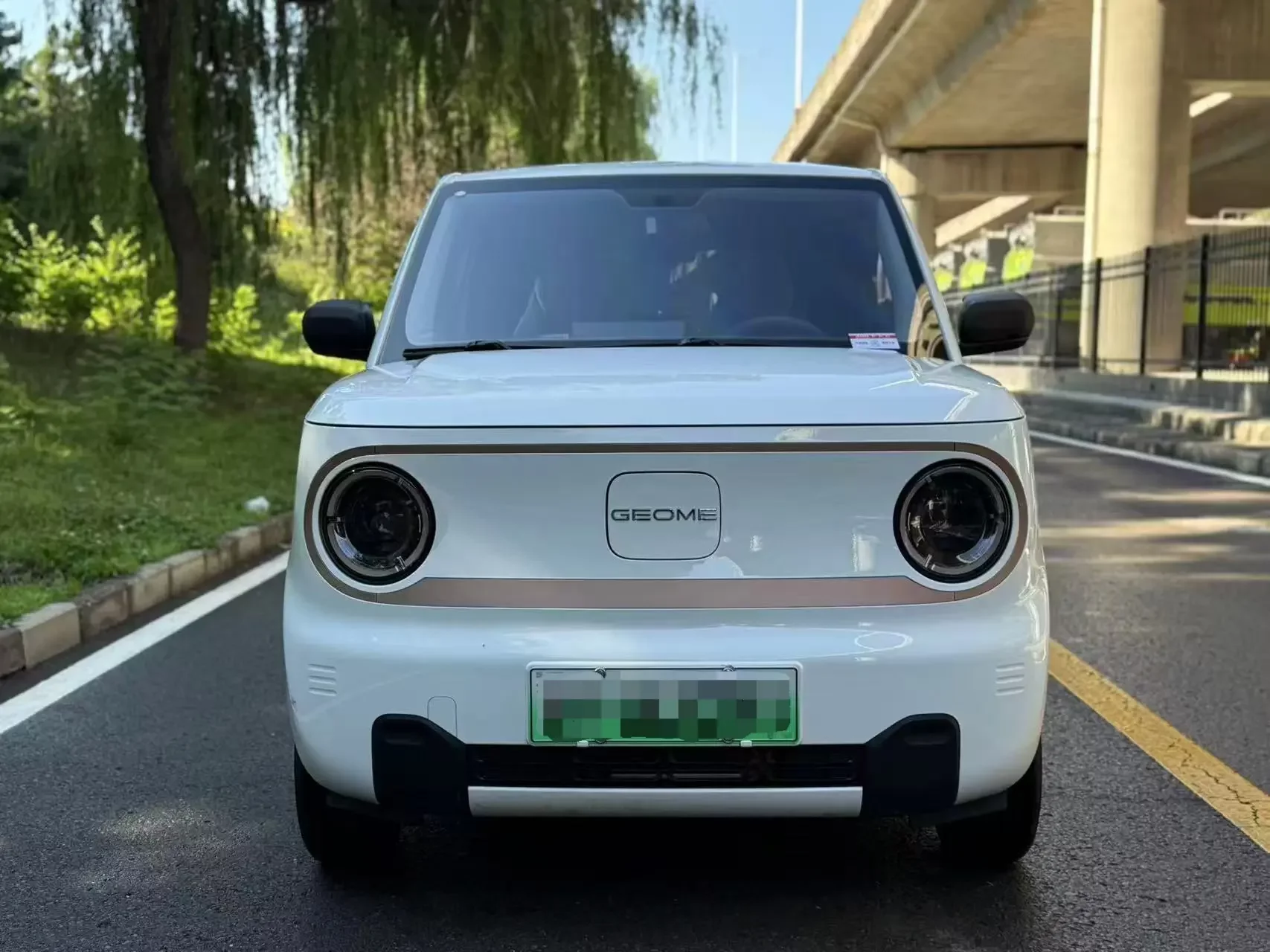 Geely panda