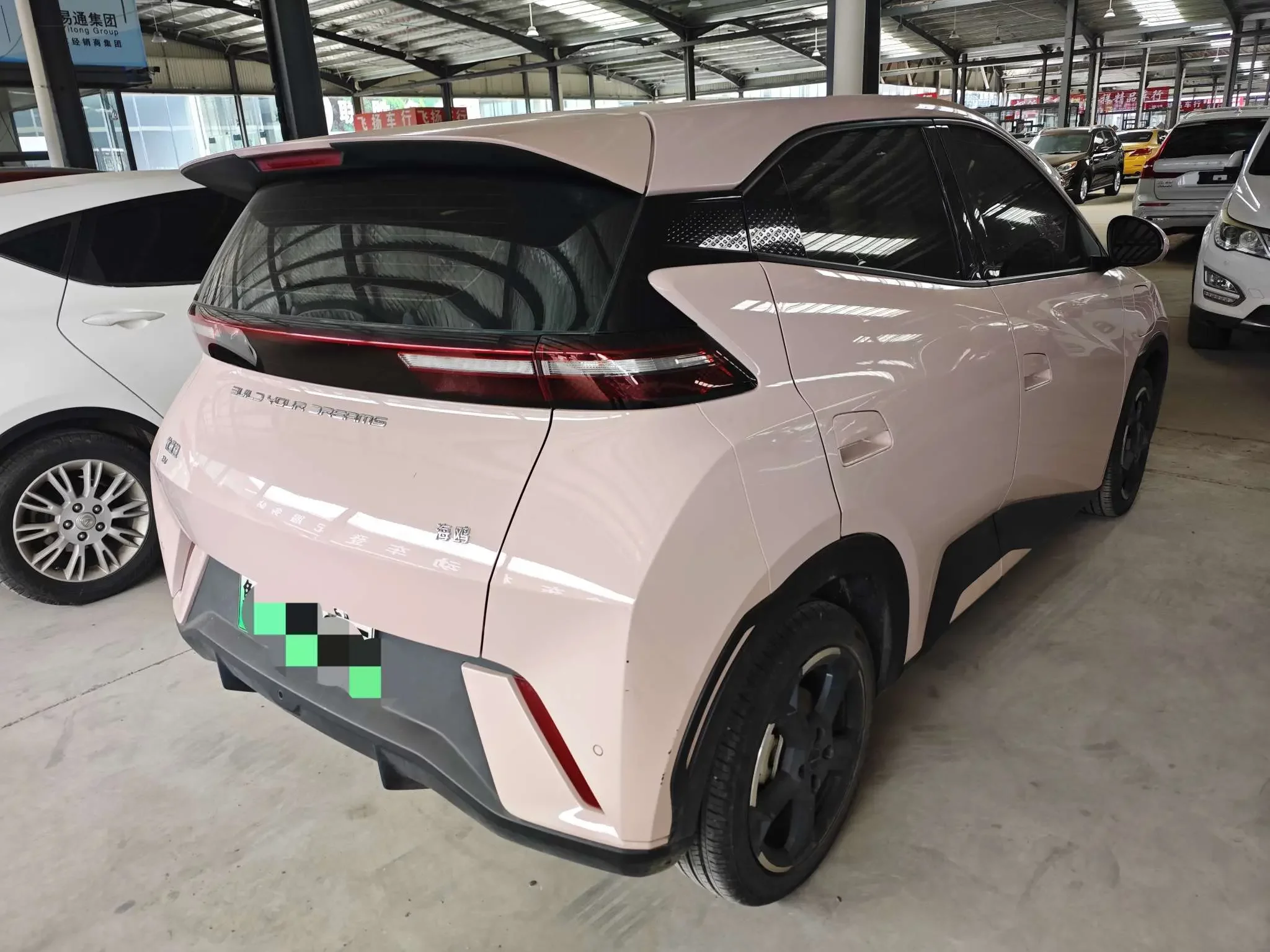 BYD seagull